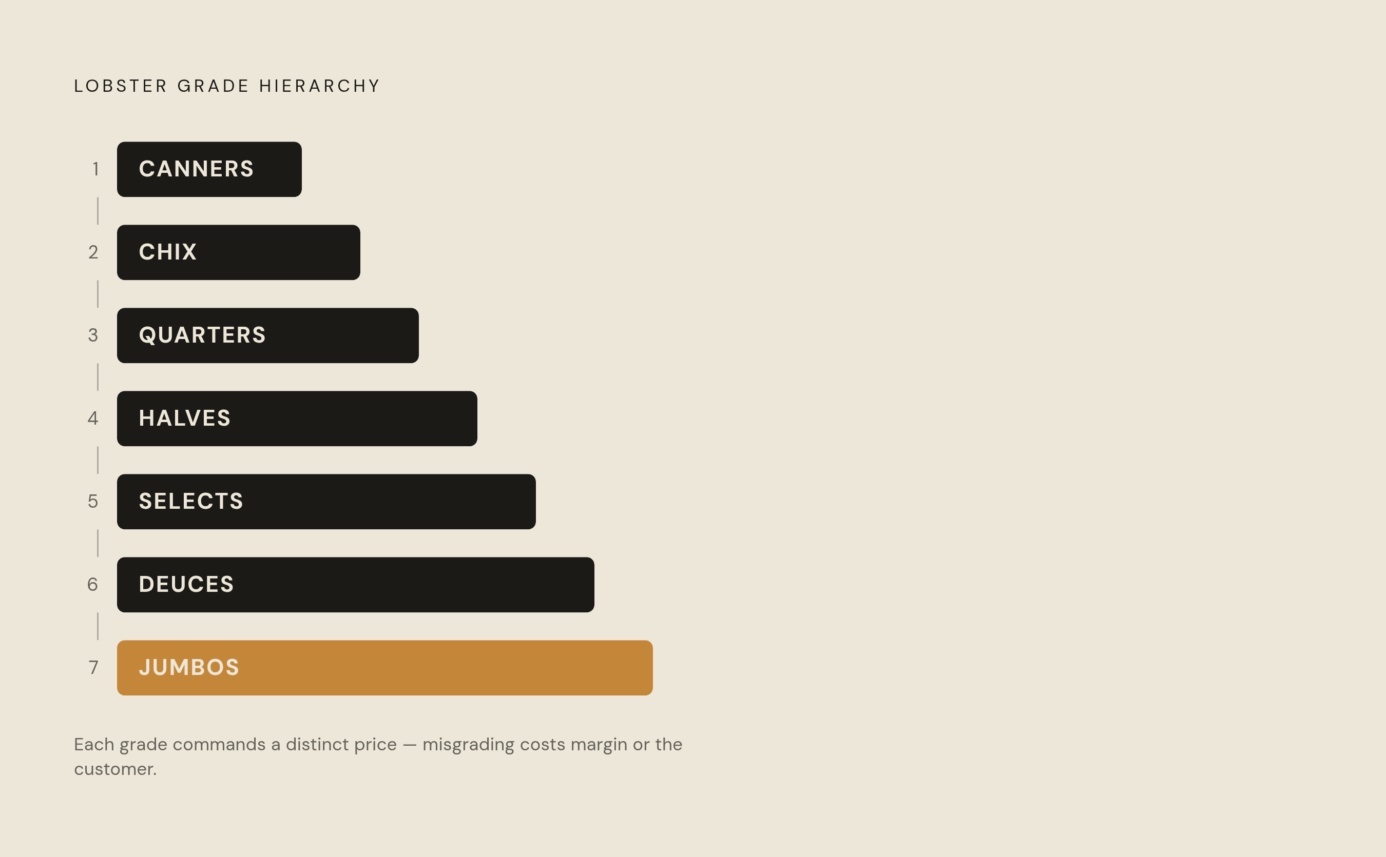 Diagram: Lobster Grade Ladder: Size to Price Point. Visualizes: Show the seven lobster grades in ascending size order — canners, chix, quarters, halves, selects, deuces, jumbos — as a ranked ladder or stepped scale.