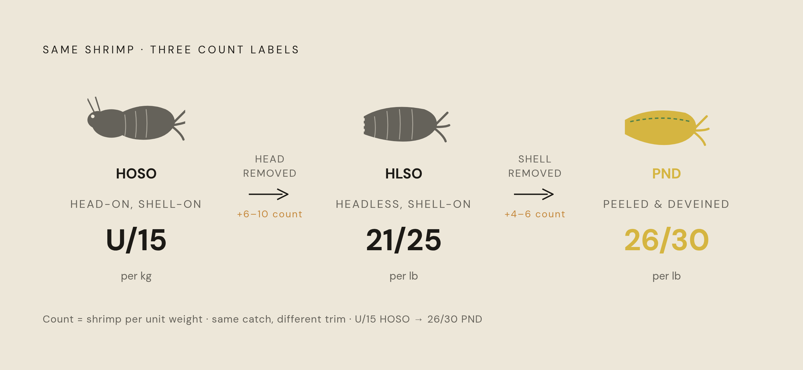 Diagram: Same Shrimp, Three Different Count Numbers. Visualizes: Illustrate how a single physical shrimp carries three distinct count labels depending on what has been removed from it.