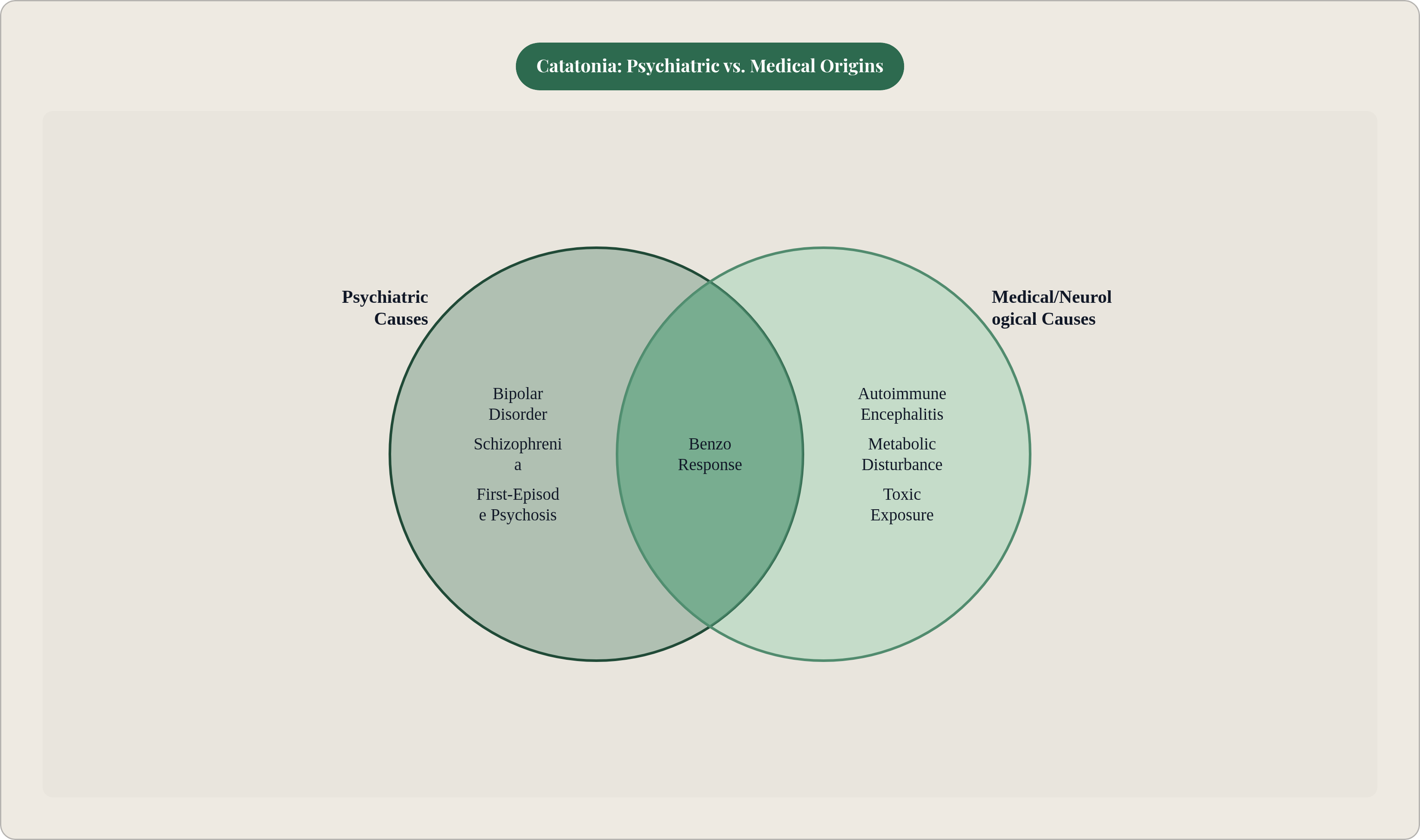 Venn diagram: Catatonia: Psychiatric vs. Medical Origins. Compares Psychiatric Causes and Medical/Neurological Causes; overlap: Shared Mechanism.