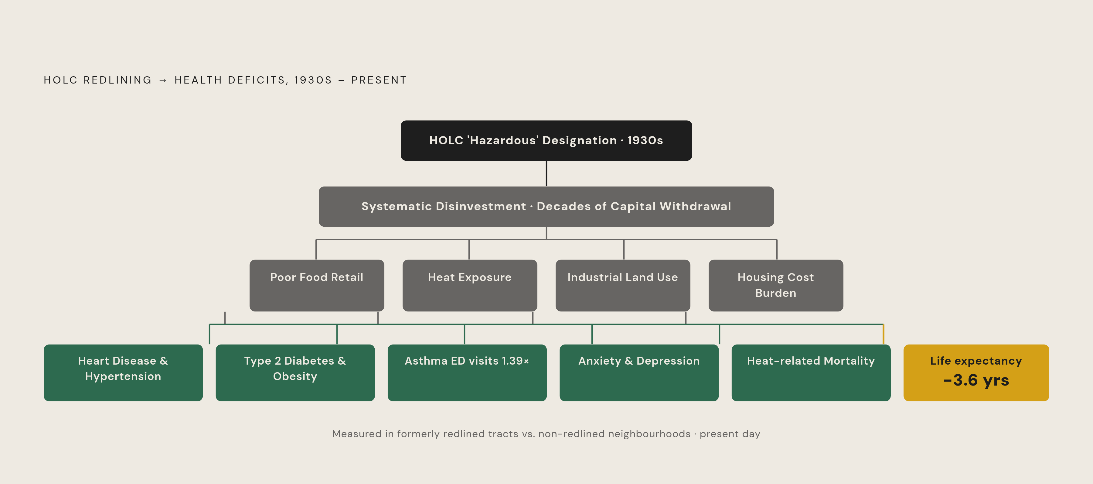 Diagram: A Century of Compounding: Redlining's Health Toll Today. Visualizes: Show the cascade from a single 1930s policy instrument to concrete, measurable health deficits nearly 90 years later.