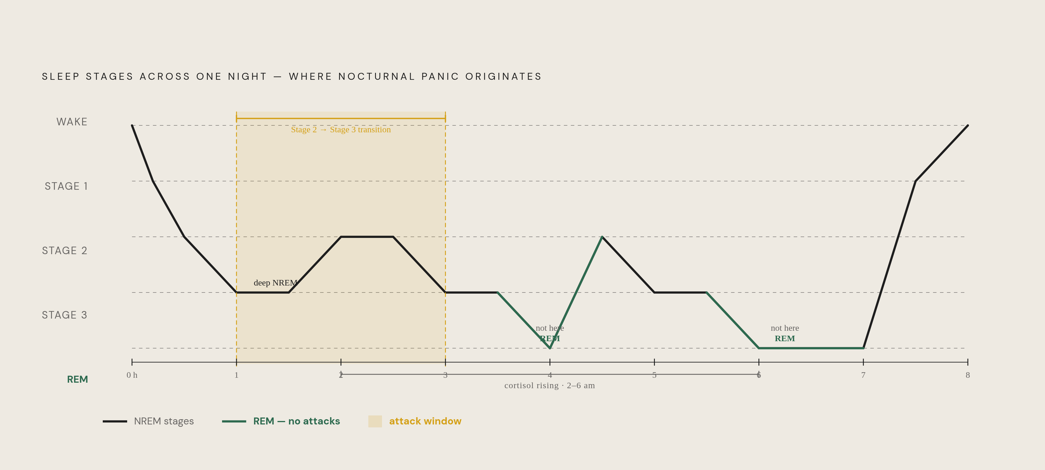 Diagram: Nocturnal Panic: Where in the Night It Strikes. Visualizes: Show the sleep cycle across a single night, highlighting the Stage 2-to-Stage 3 non-REM transition in the first third of the night (roughly 1–3 hours after falling asleep) as the…
