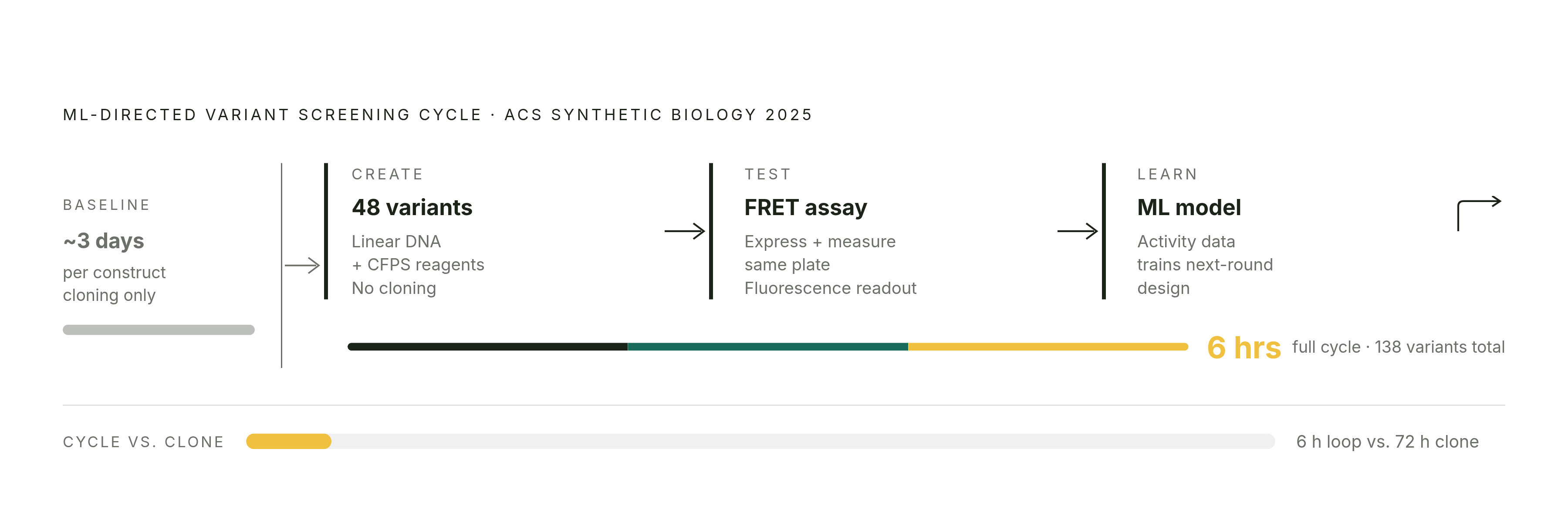 Diagram: From DNA Design to Protein Data in Six Hours. Visualizes: Visualize the three-phase ML-directed variant screening cycle documented in ACS Synthetic Biology (2025), contrasting it with the old multi-day cloning path.