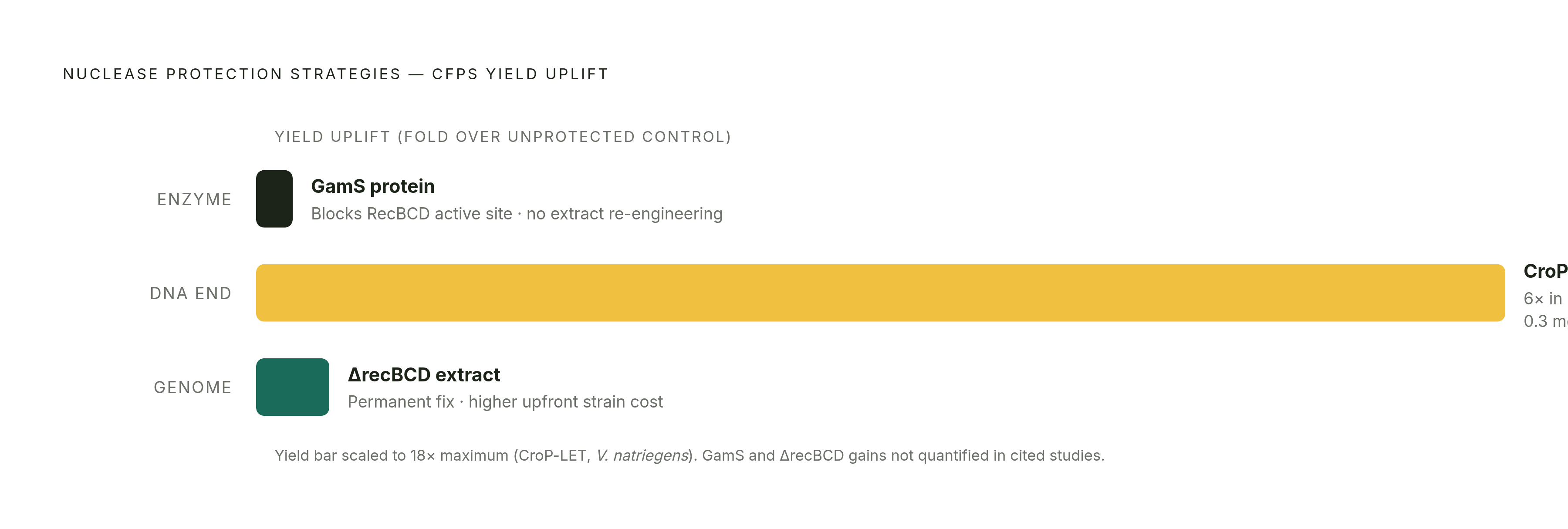 Diagram: Three Approaches to Protecting Linear DNA Templates from Nuclease Degradation. Visualizes: Show three parallel protection strategies that solve the same nuclease problem at different intervention points, with their key yield result where…