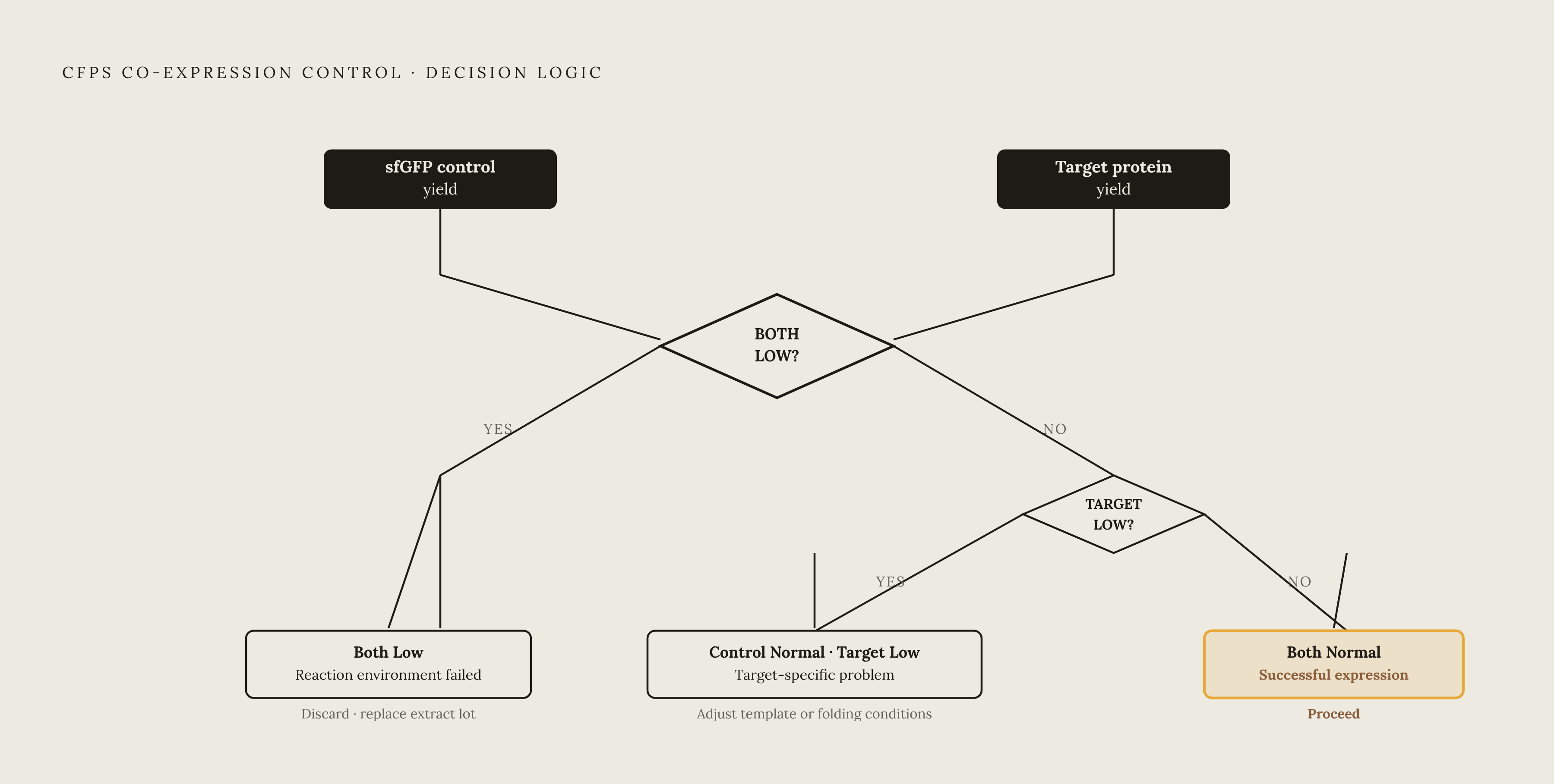 Diagram: Co-Expression Control: Diagnosing Reaction vs. Target. Visualizes: Show a forked decision logic for interpreting a CFPS co-expression control experiment.