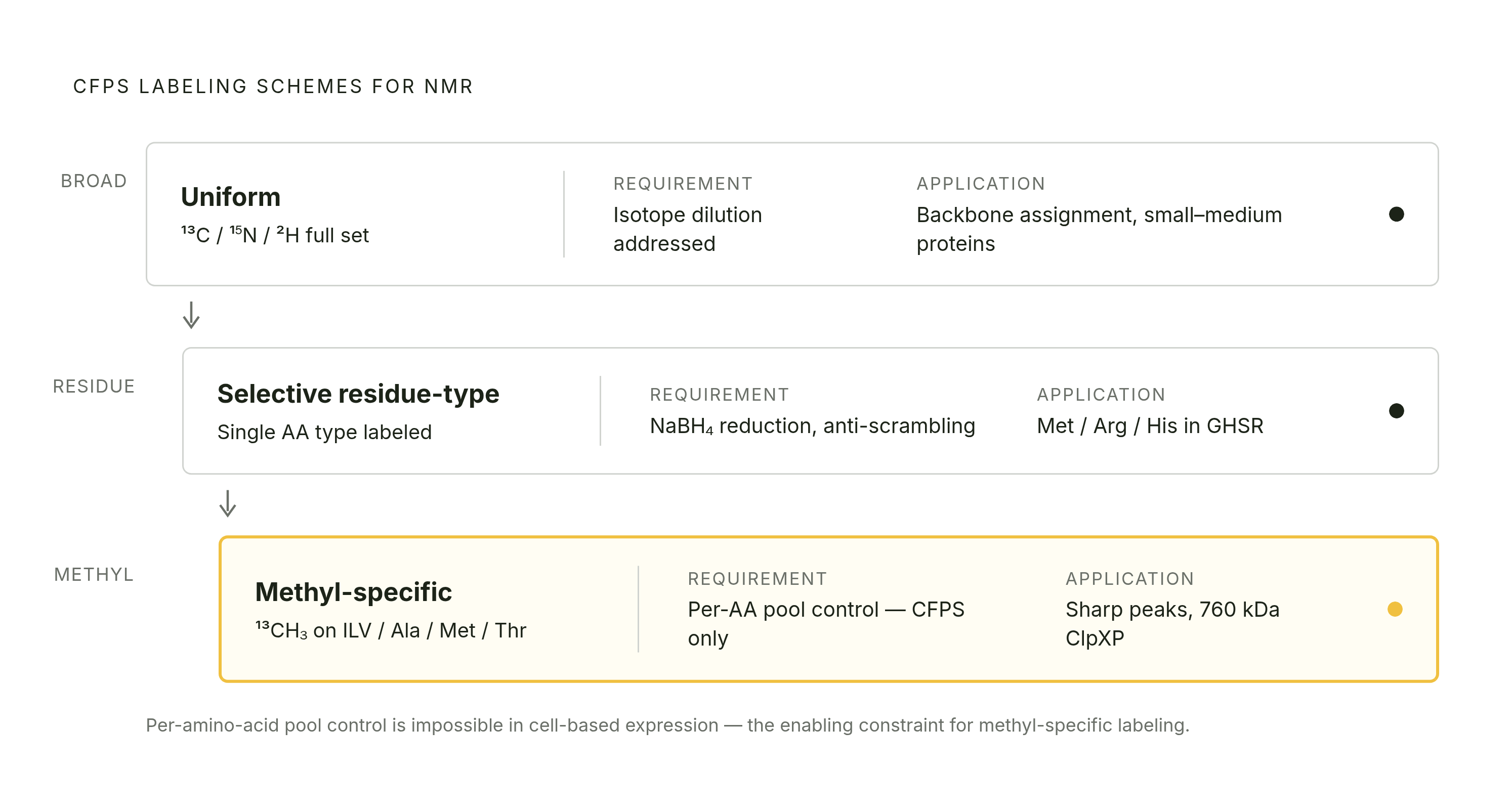Diagram: Three Labeling Schemes: What CFPS Controls at Each Stage. Visualizes: Show three distinct labeling schemes that CFPS supports for NMR, arranged as a ranked or stepped list moving from broadest to most targeted coverage.