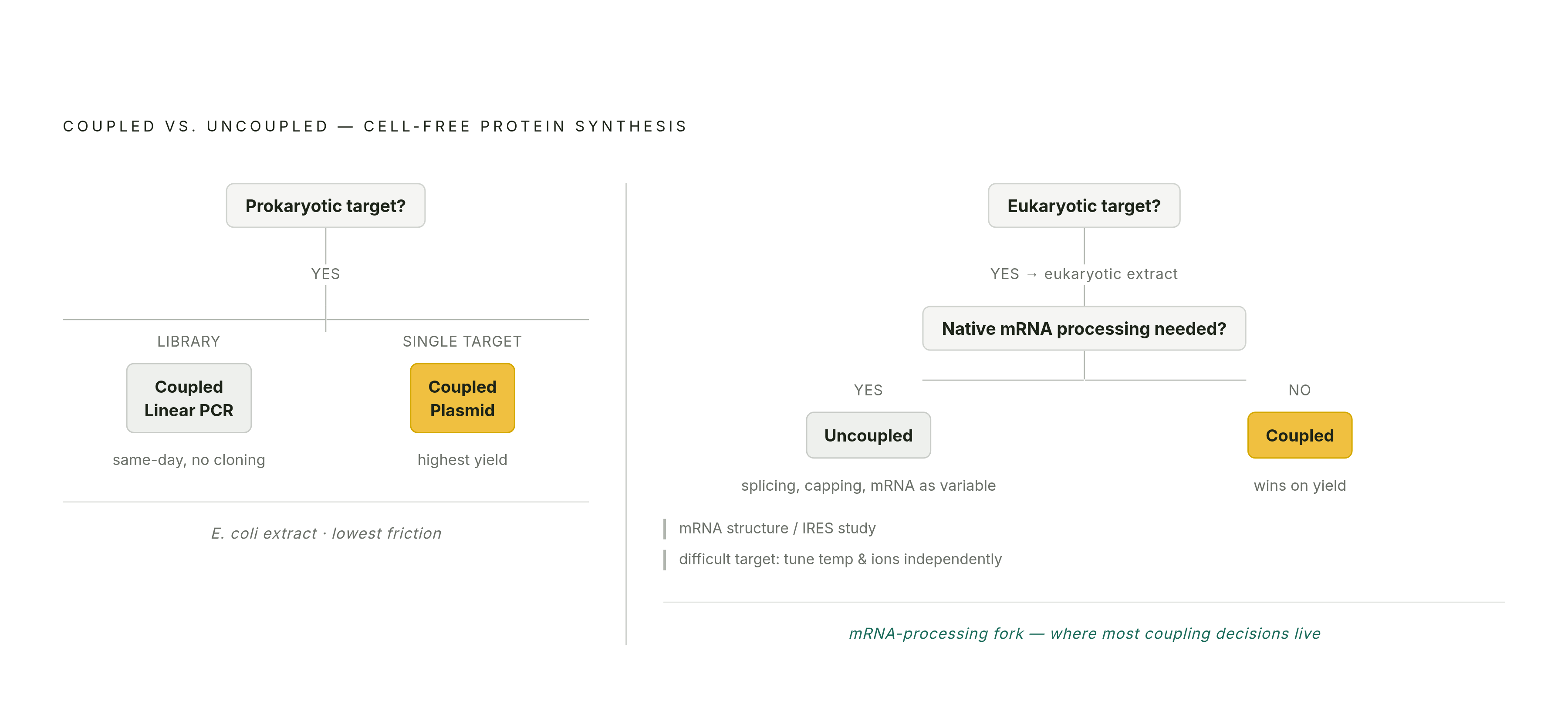 Diagram: Coupled vs. Uncoupled CFPS: When to Use Each. Visualizes: A decision-flow diagram showing how to choose between coupled and uncoupled cell-free protein synthesis (CFPS).