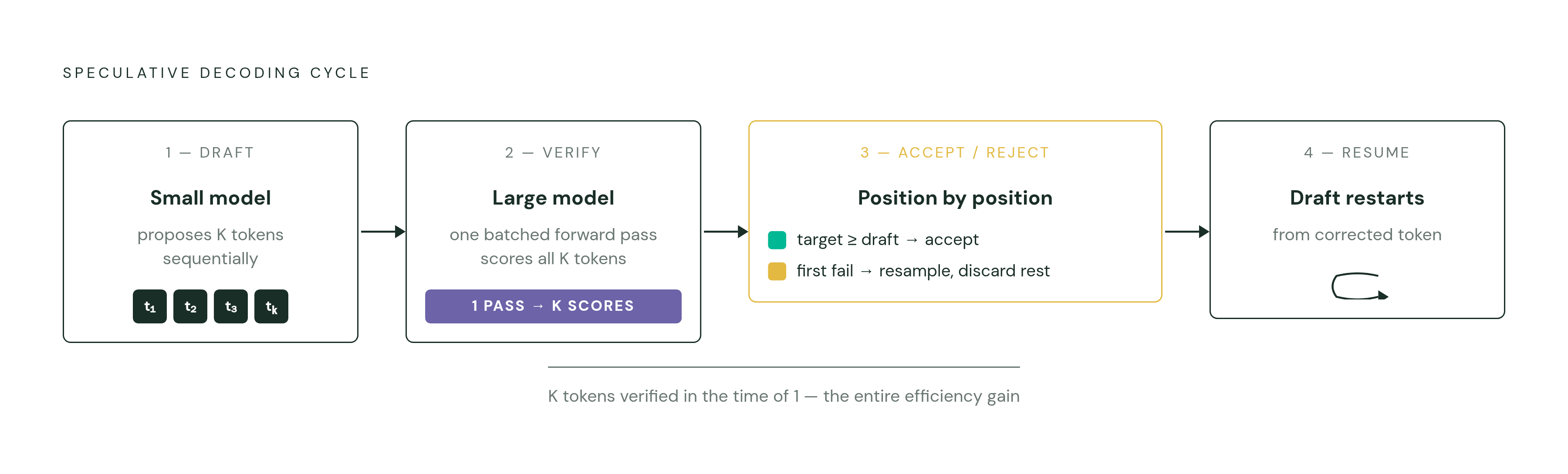 Diagram: The Draft-Verify Loop: One Pass Checks Many Tokens. Visualizes: Illustrate the core speculative decoding cycle as a stepped flow.