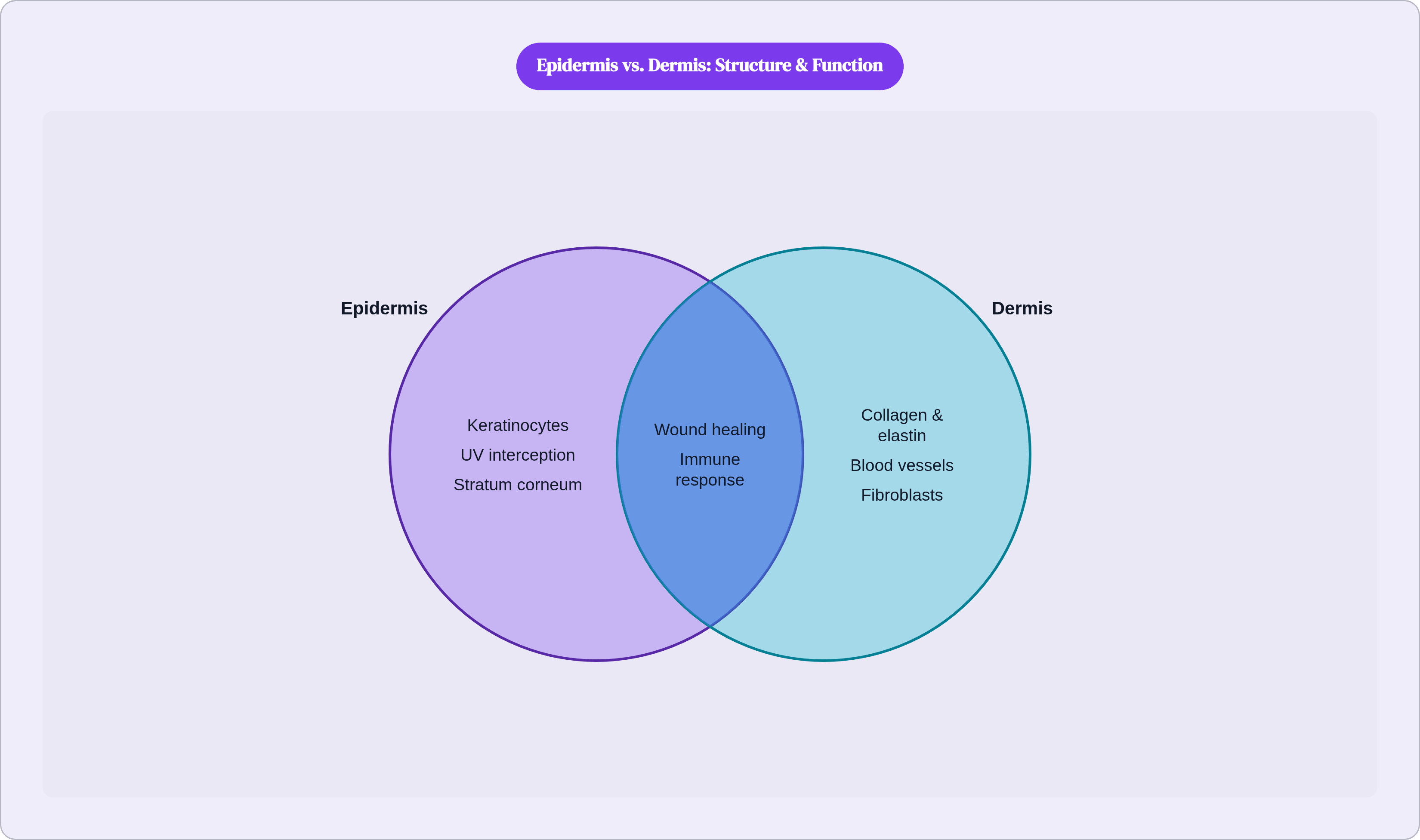 Venn diagram: Epidermis vs. Dermis: Structure & Function. Compares Epidermis and Dermis; overlap: Shared Functions.