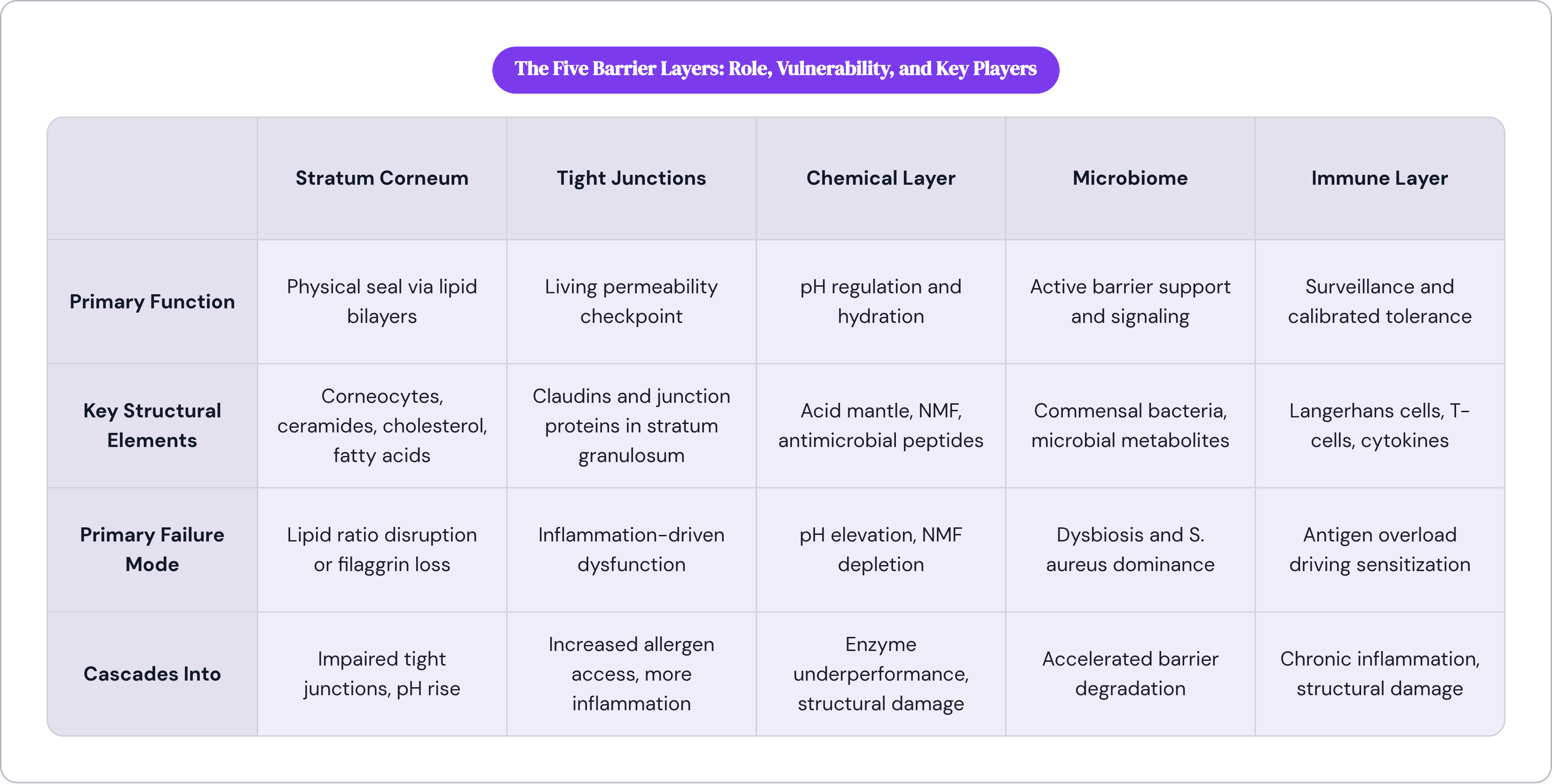 Table: The Five Barrier Layers: Role, Vulnerability, and Key Players. Compares Primary Function, Key Structural Elements, Primary Failure Mode and Cascades Into by Stratum Corneum, Tight Junctions, Chemical Layer, Microbiome, and 1 more.