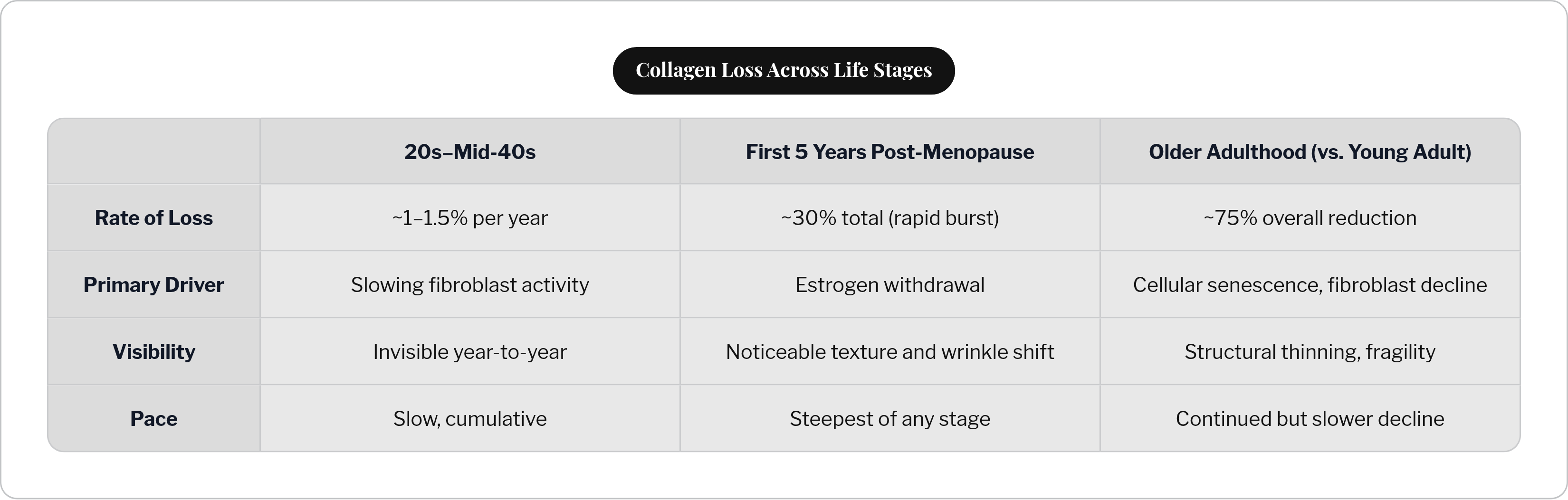 Collagen Loss Across Life Stages