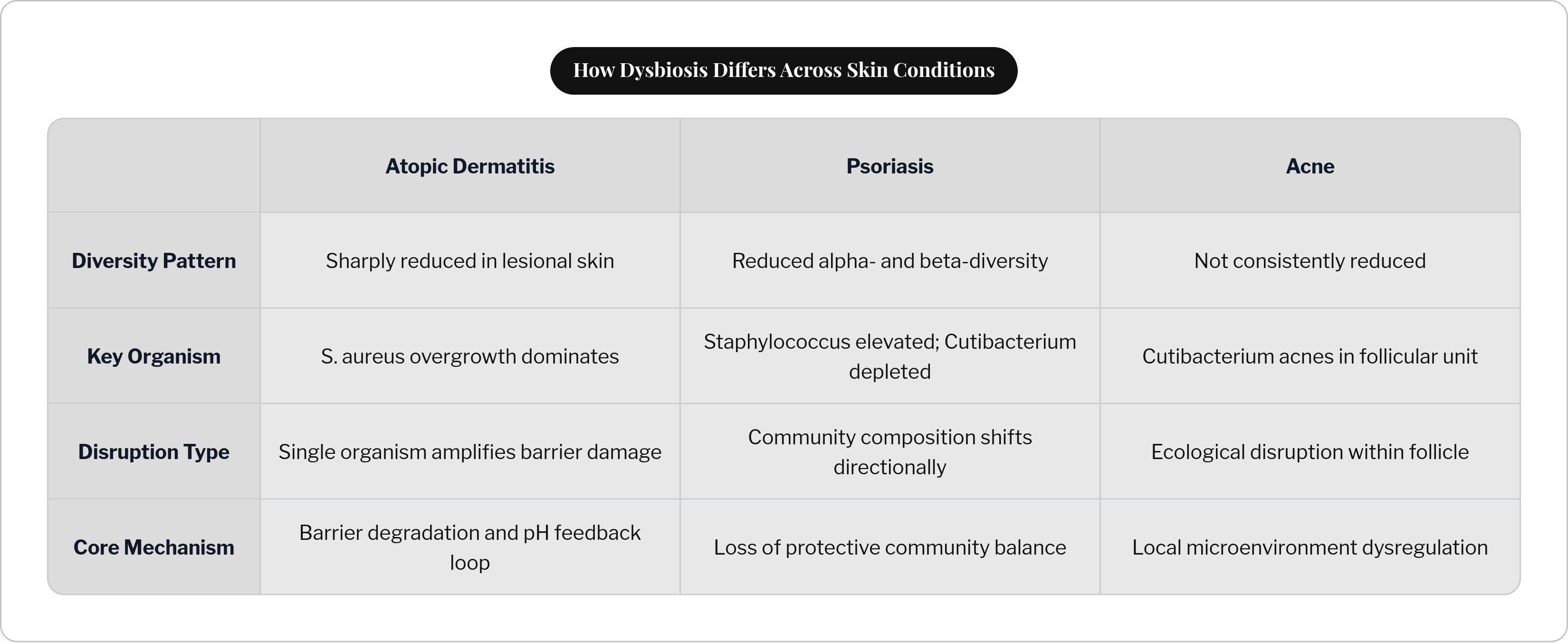 Table: How Dysbiosis Differs Across Skin Conditions. Compares Diversity Pattern, Key Organism, Disruption Type and Core Mechanism by Atopic Dermatitis, Psoriasis and Acne.