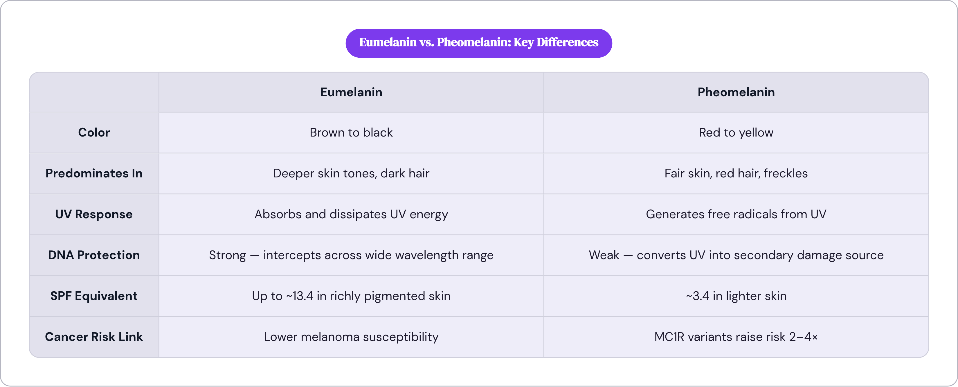 Table: Eumelanin vs. Pheomelanin: Key Differences. Compares Color, Predominates In, UV Response, DNA Protection, and 2 more by Eumelanin and Pheomelanin.