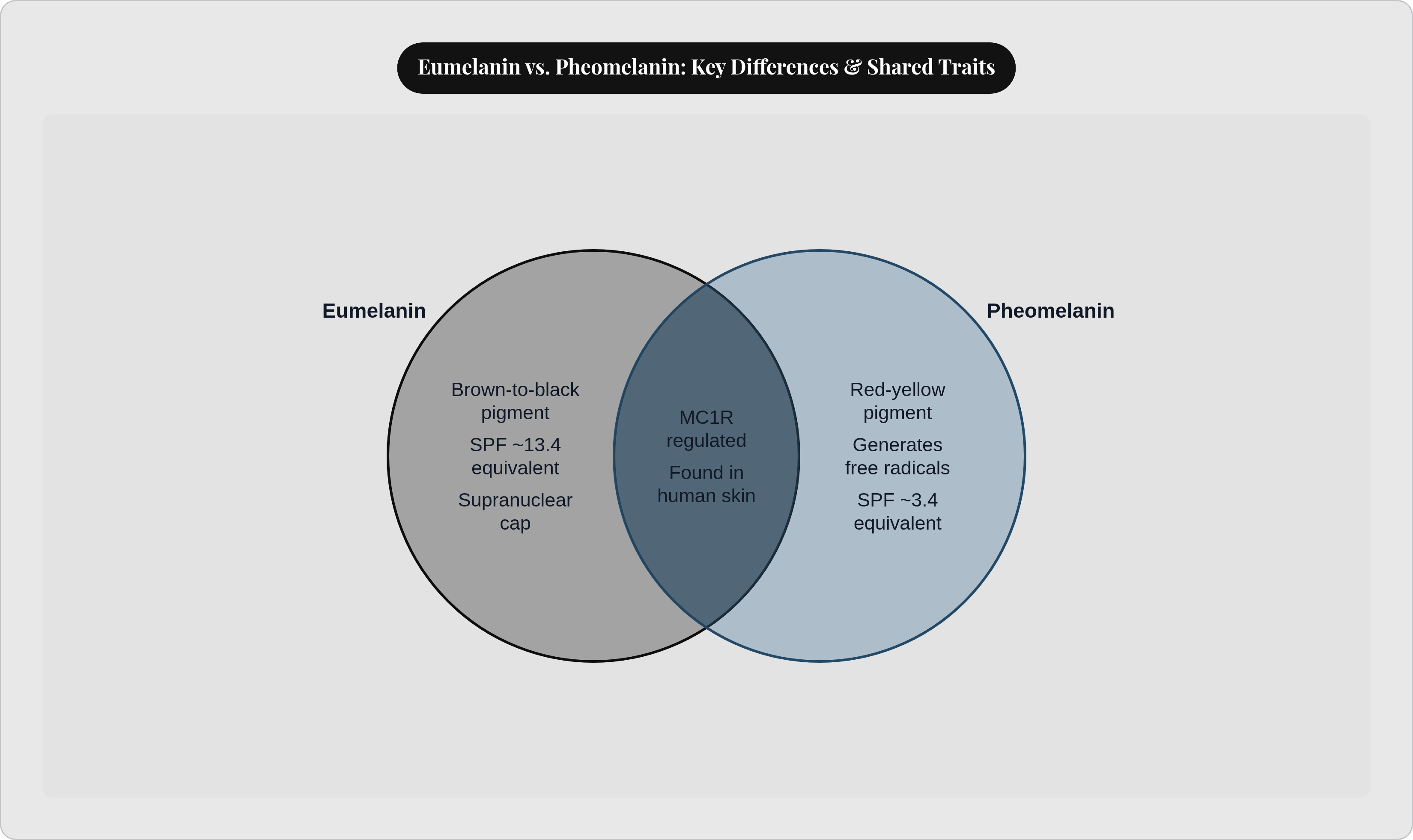 Venn diagram: Eumelanin vs. Pheomelanin: Key Differences & Shared Traits. Compares Eumelanin and Pheomelanin; overlap: Shared Traits.