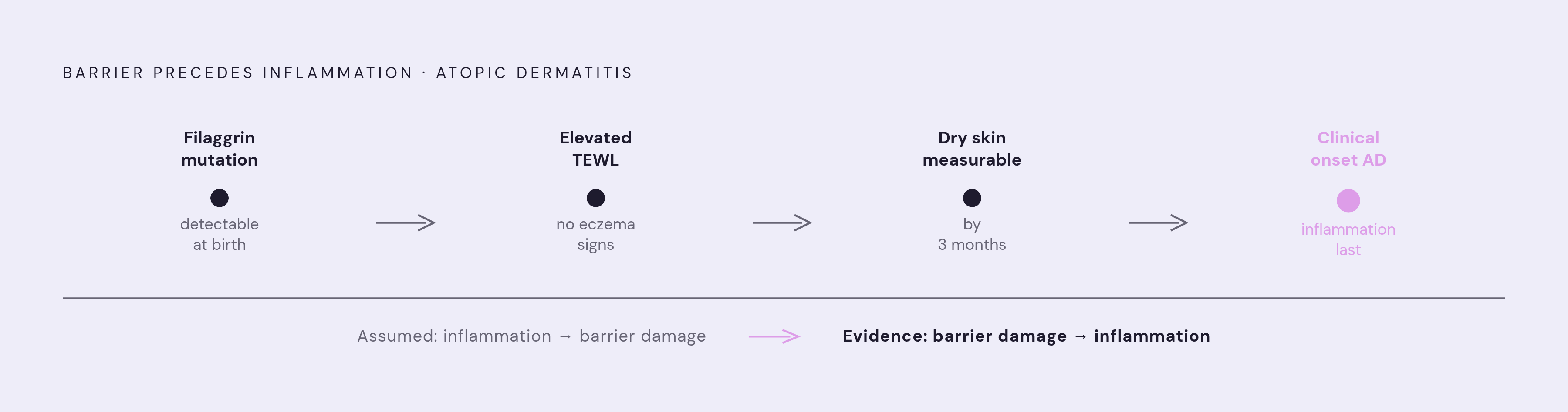Diagram: Barrier Breakdown Precedes Disease: The TEWL Timeline. Visualizes: Visualize the sequence in which structural barrier compromise precedes clinical inflammation in atopic dermatitis: filaggrin mutations detectable at birth → elevated TEWL…