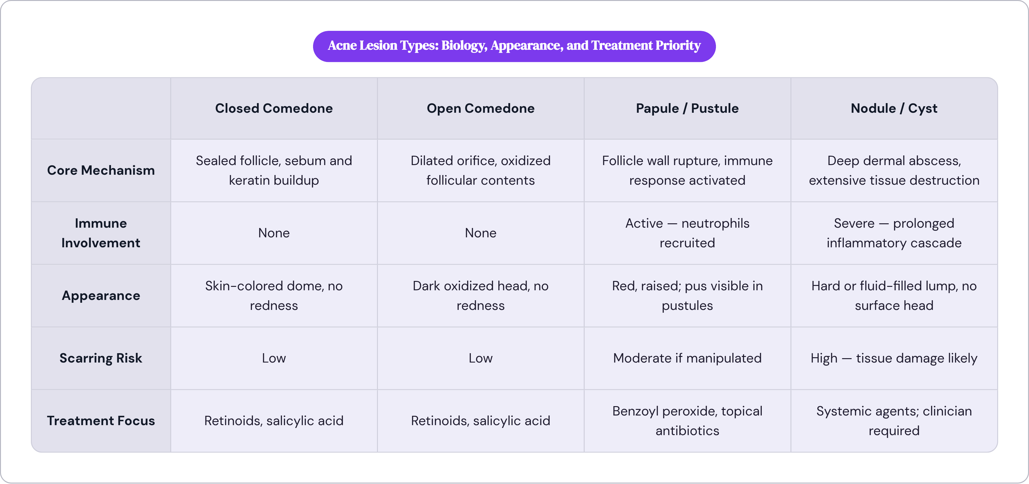 Table: Acne Lesion Types: Biology, Appearance, and Treatment Priority. Compares Core Mechanism, Immune Involvement, Appearance, Scarring Risk, and 1 more by Closed Comedone, Open Comedone, Papule / Pustule and Nodule / Cyst.