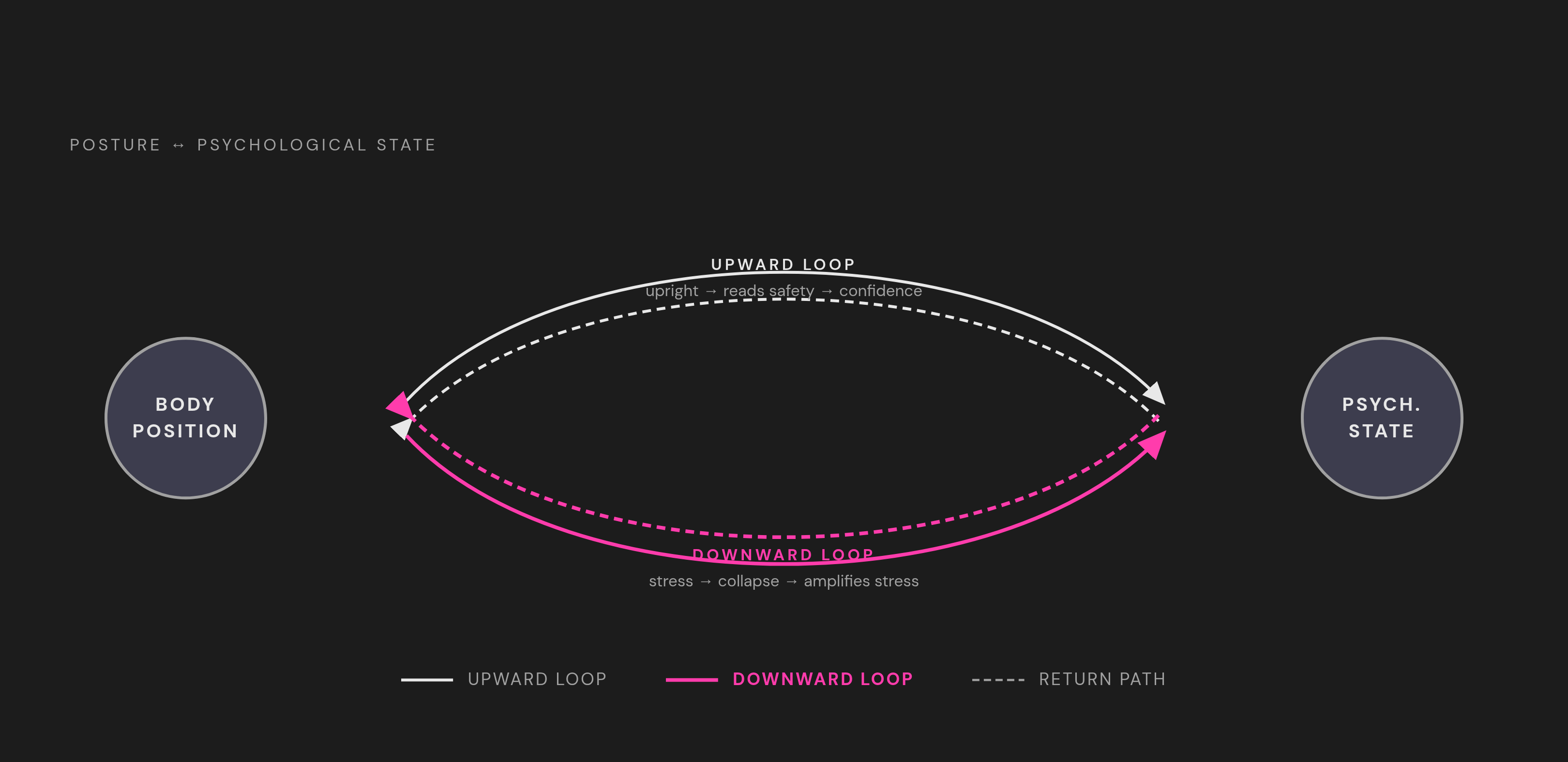 Diagram: The Body-Mind Confidence Loop. Visualizes: Illustrate the self-reinforcing feedback loop between posture and psychological state described in the article.