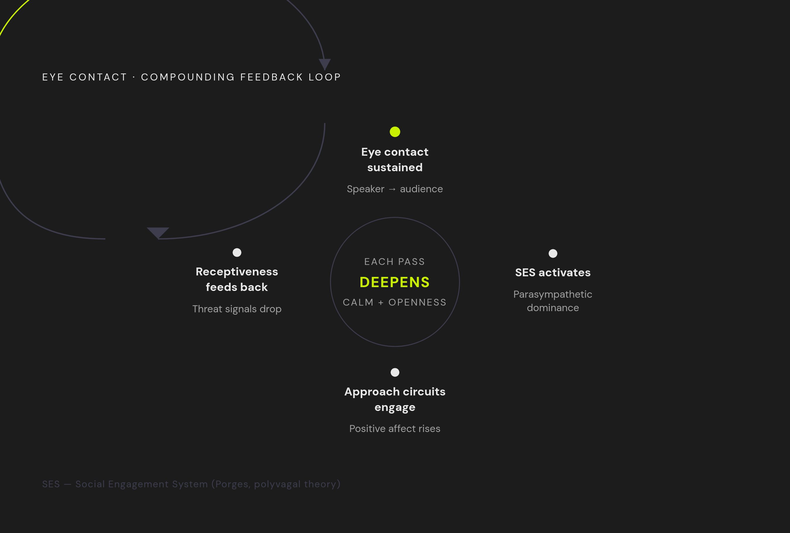 Diagram: The Bidirectional Eye Contact Loop. Visualizes: Visualize a closed feedback loop showing how eye contact creates compounding effects between speaker and audience.