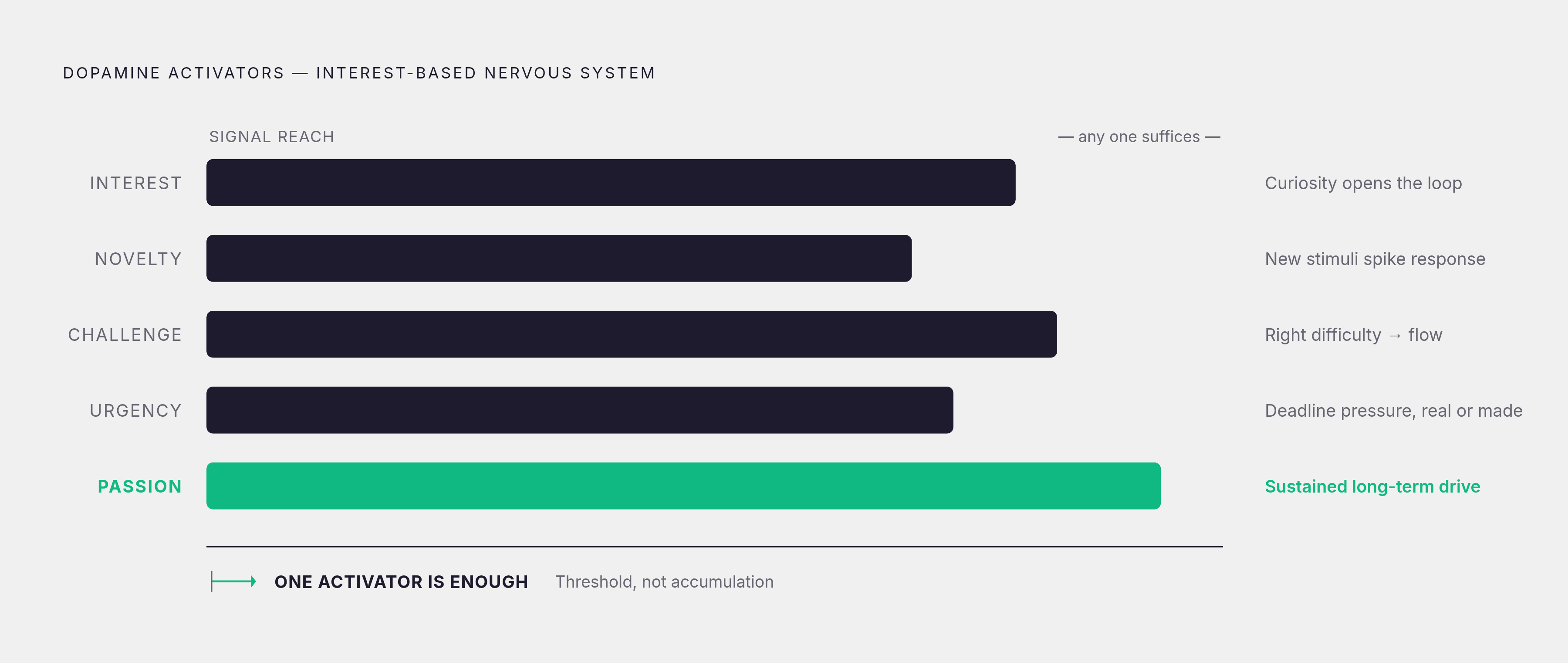 Diagram: The Five Activators: What Switches an ADHD Brain On. Visualizes: Visualize the five named activators that supply dopamine signals strong enough to trigger engagement in an interest-based nervous system: Interest, Novelty, Challenge…