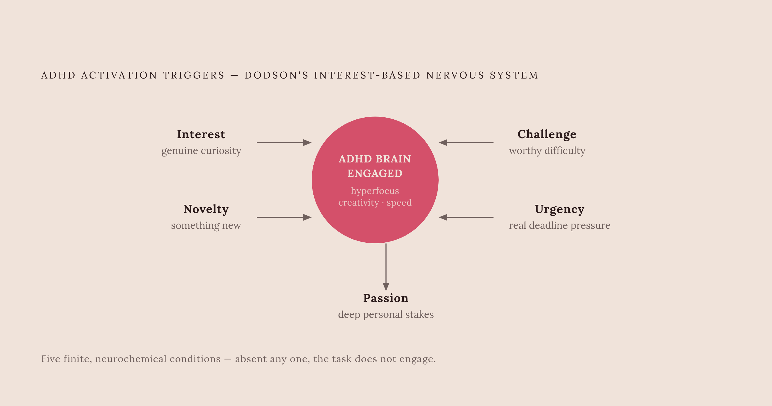 Diagram: The Five Neurological Triggers That Gate ADHD Strengths. Visualizes: Visualize the five specific inputs from Dr.