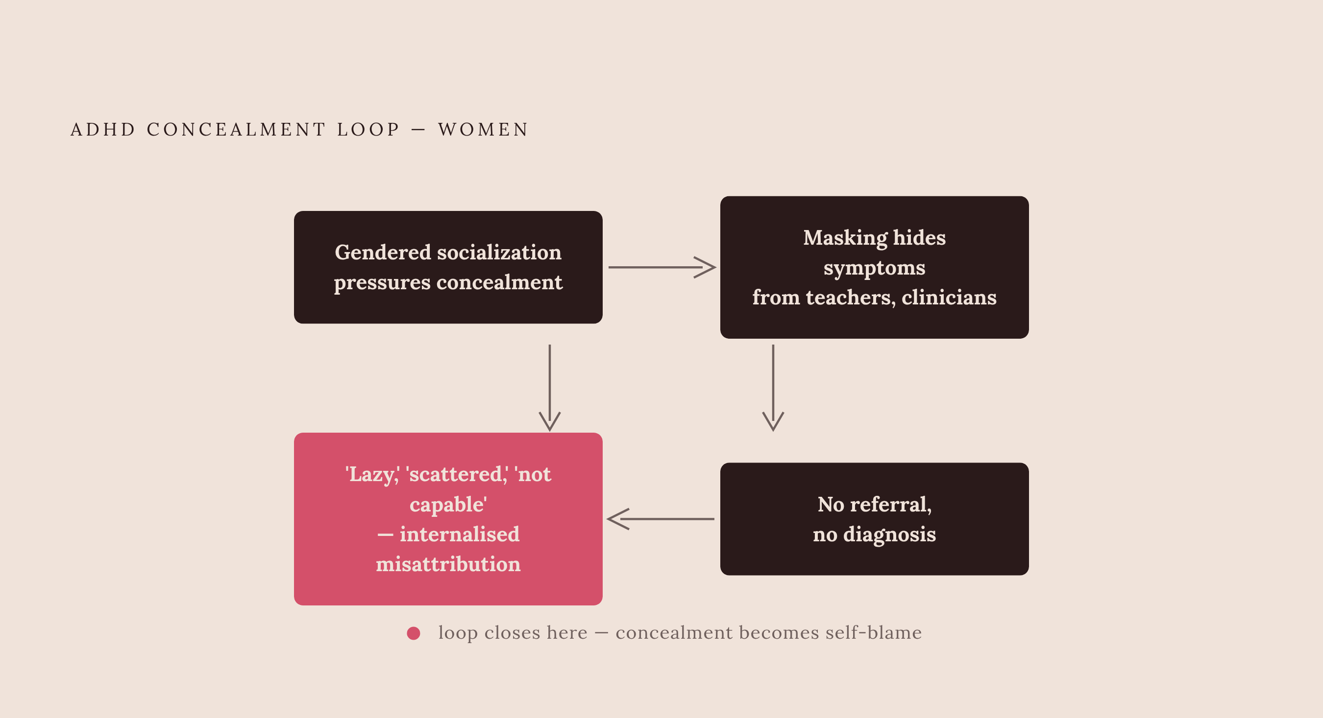 Diagram: The Masking Loop That Closes Before Diagnosis. Visualizes: Visualize a self-reinforcing cycle showing how socialization pressure drives masking, which in turn makes ADHD invisible to teachers, parents, and clinicians, and finally to the…