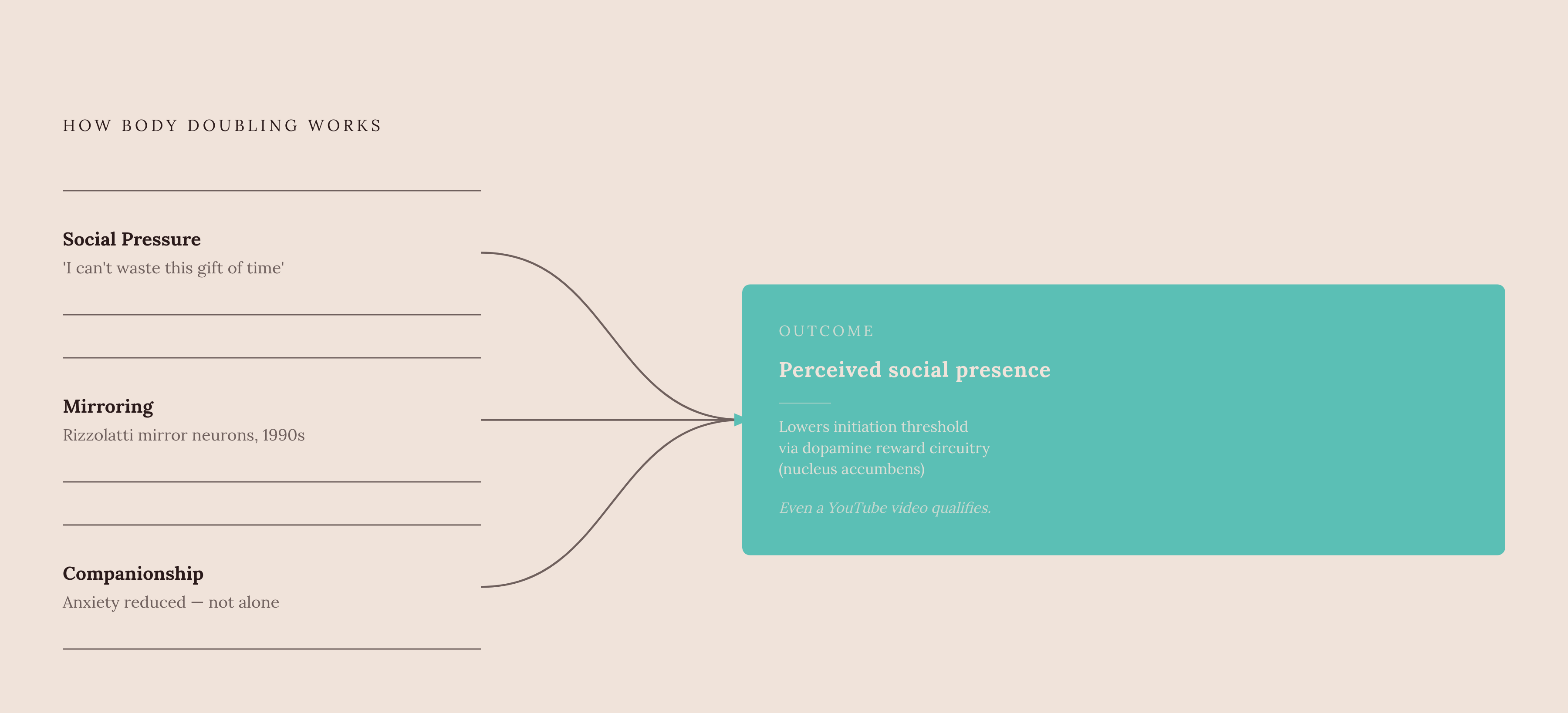 Diagram: Three Mechanisms, One Presence Effect. Visualizes: Illustrate the three named neurological mechanisms by which body doubling works, as a ranked or layered flow leading to the single outcome.