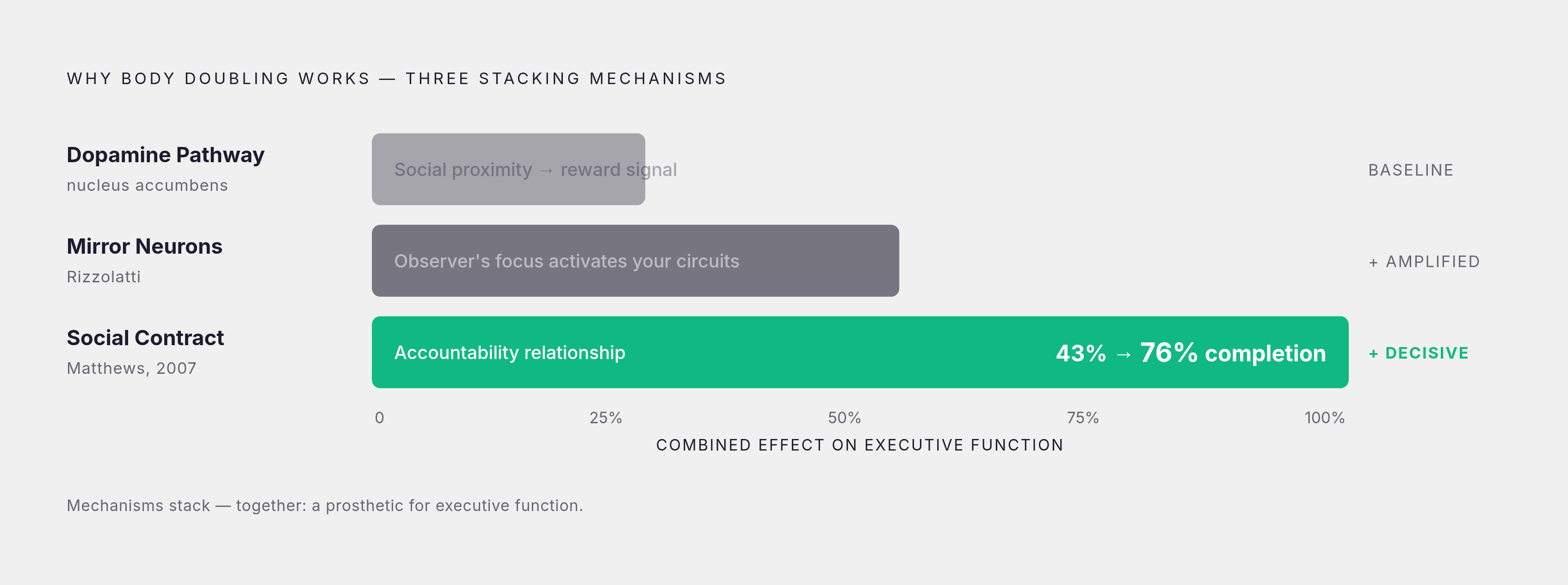 Diagram: Three Mechanisms That Make Body Doubling Work. Visualizes: Visualize three stacked or layered mechanisms that explain why body doubling helps ADHD brains: (1) Dopamine pathway activation — social proximity nudges the nucleus accumbens…