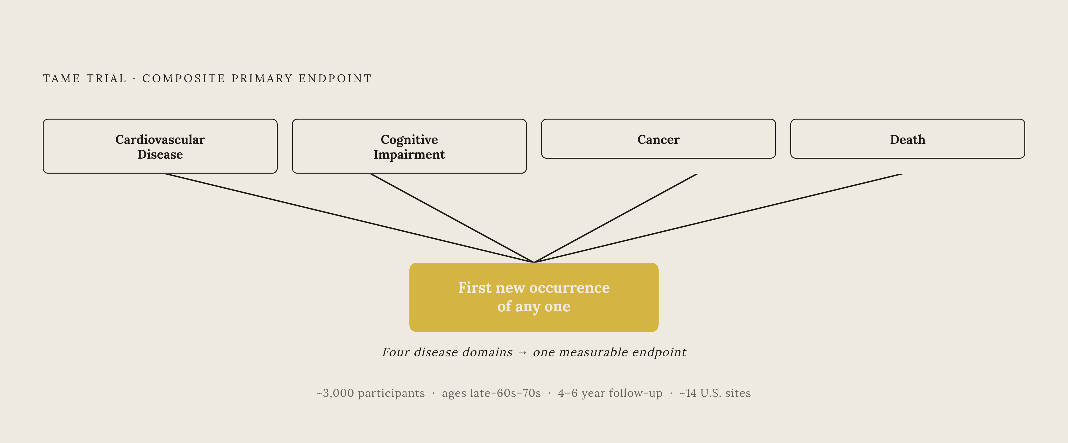 Diagram: TAME's Composite Aging Endpoint. Visualizes: Show how TAME's single composite endpoint bundles four disease outcomes into one measurable target: cardiovascular disease, cognitive impairment, cancer, and death — tracked together as the…