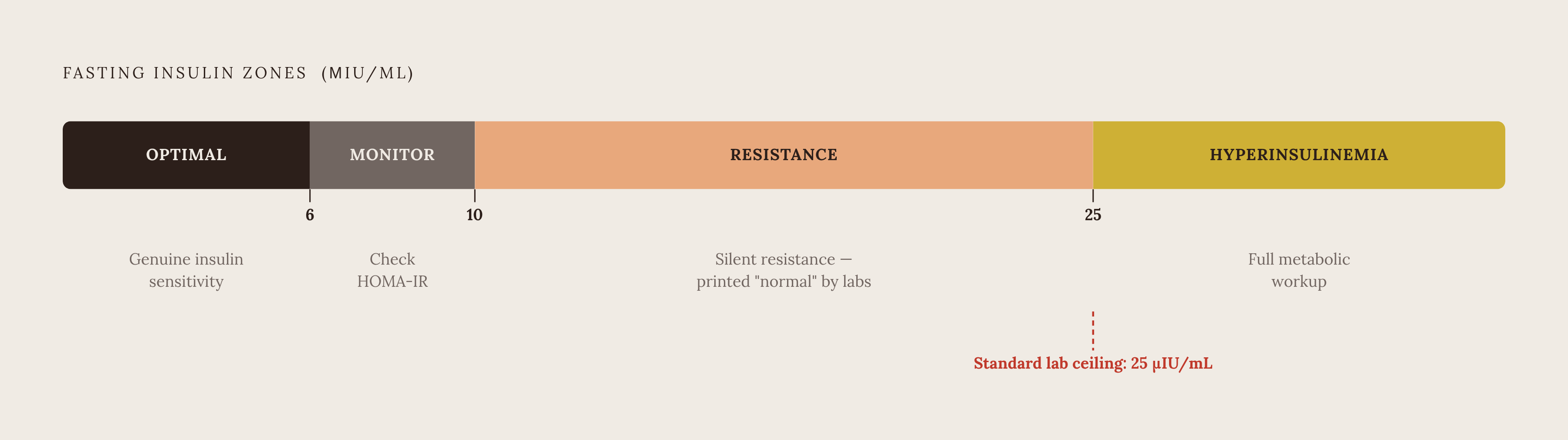 Diagram: The Insulin Spectrum: From Optimal to High-Risk. Visualizes: Show a horizontal spectrum of fasting insulin zones so readers can instantly locate their own result.