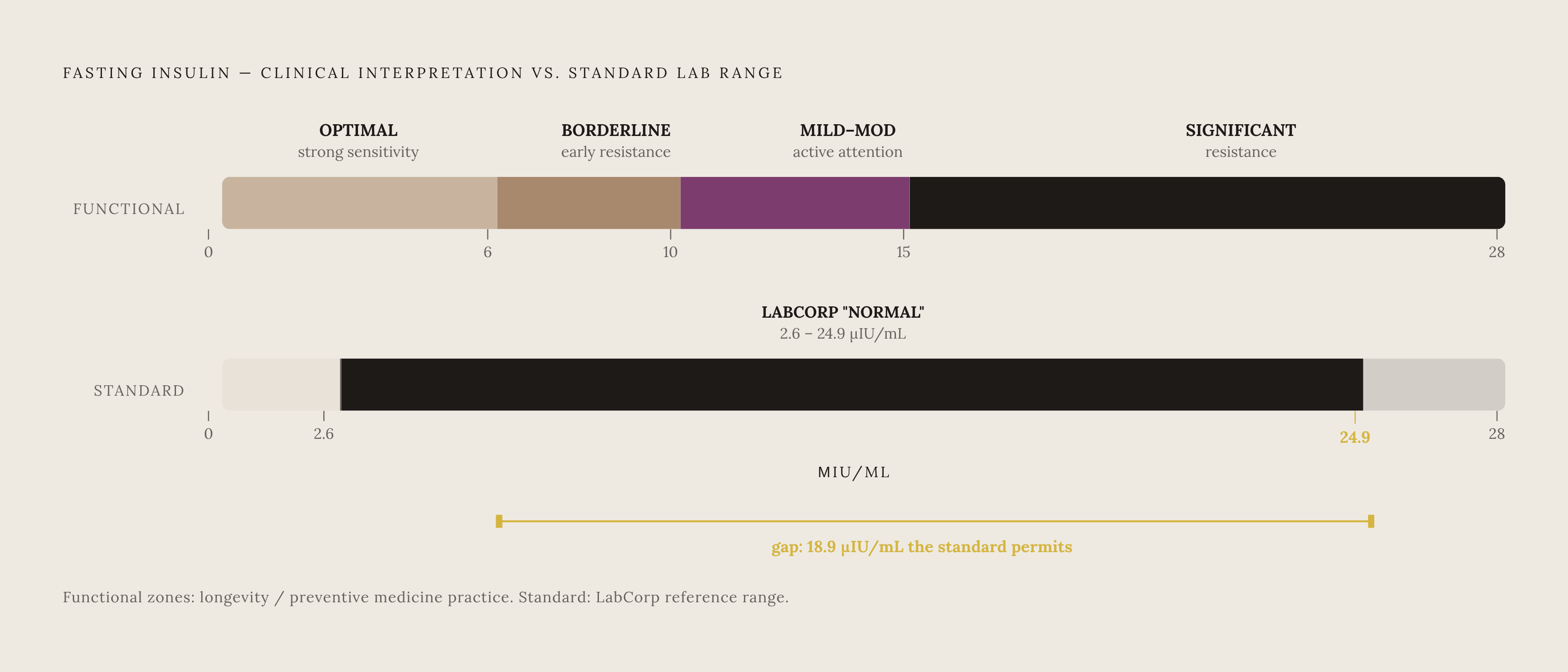 Diagram: The Insulin Resistance Gradient: Where You Actually Stand. Visualizes: Show the clinical interpretive gradient that longevity and preventive medicine practitioners use for fasting insulin, contrasted against the standard lab reference range.