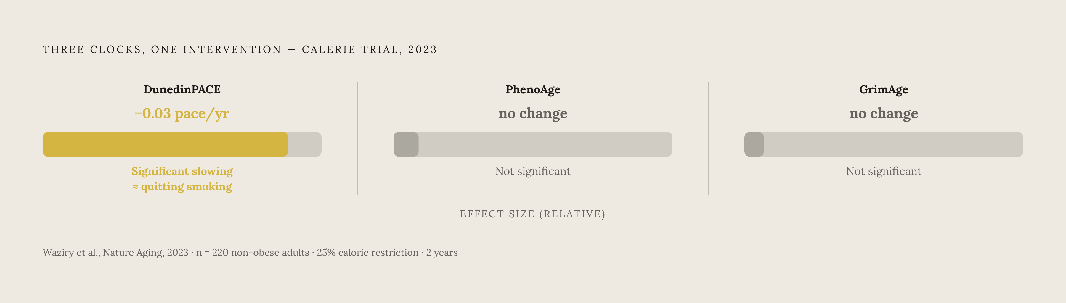 Diagram: CALERIE Trial: Two Clocks, Two Different Answers. Visualizes: Visualize the split finding from the CALERIE trial (Waziry et al., Nature Aging, 2023): 220 non-obese adults underwent 25% caloric restriction for two years.