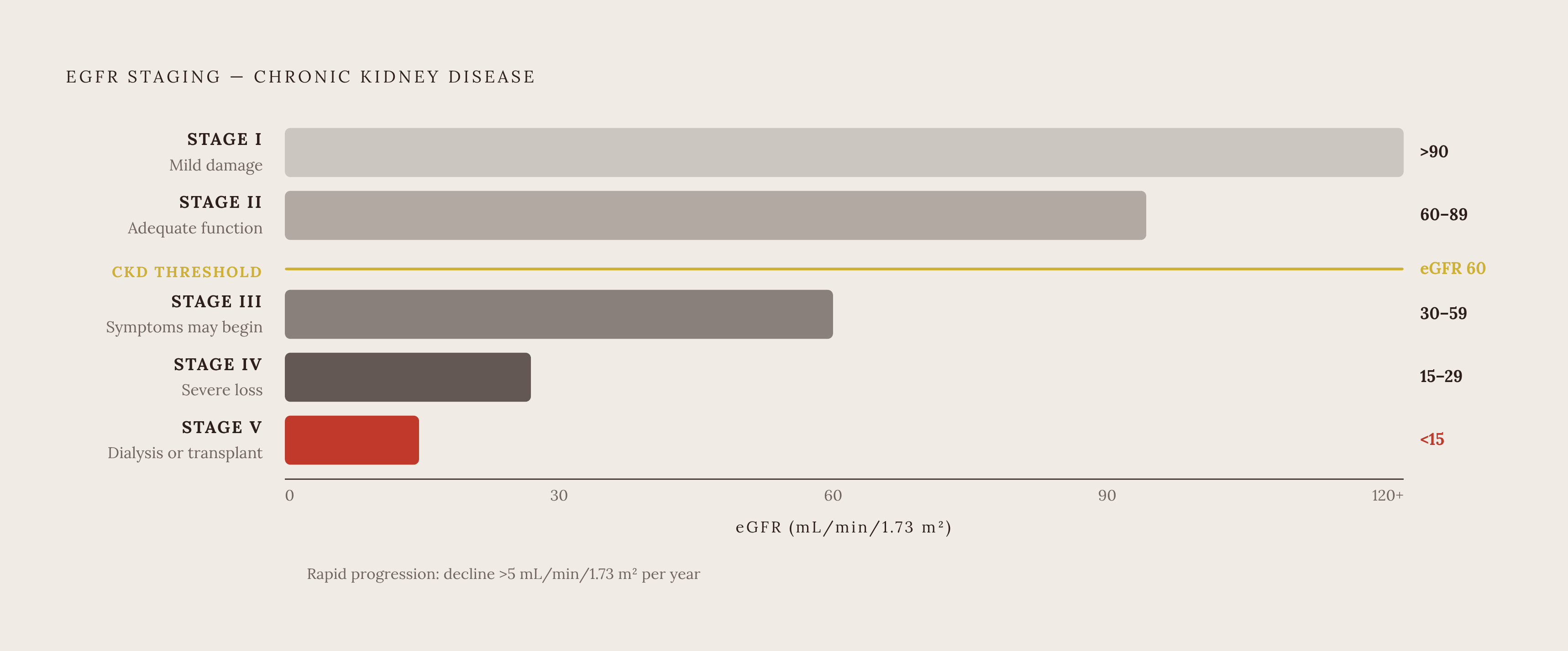 Diagram: The Five Stages of Kidney Function. Visualizes: Visualize the eGFR five-stage framework as a declining horizontal bar or stepped scale, showing the five stages with their eGFR ranges: Stage I (>90, mild damage, kidneys still functioning…