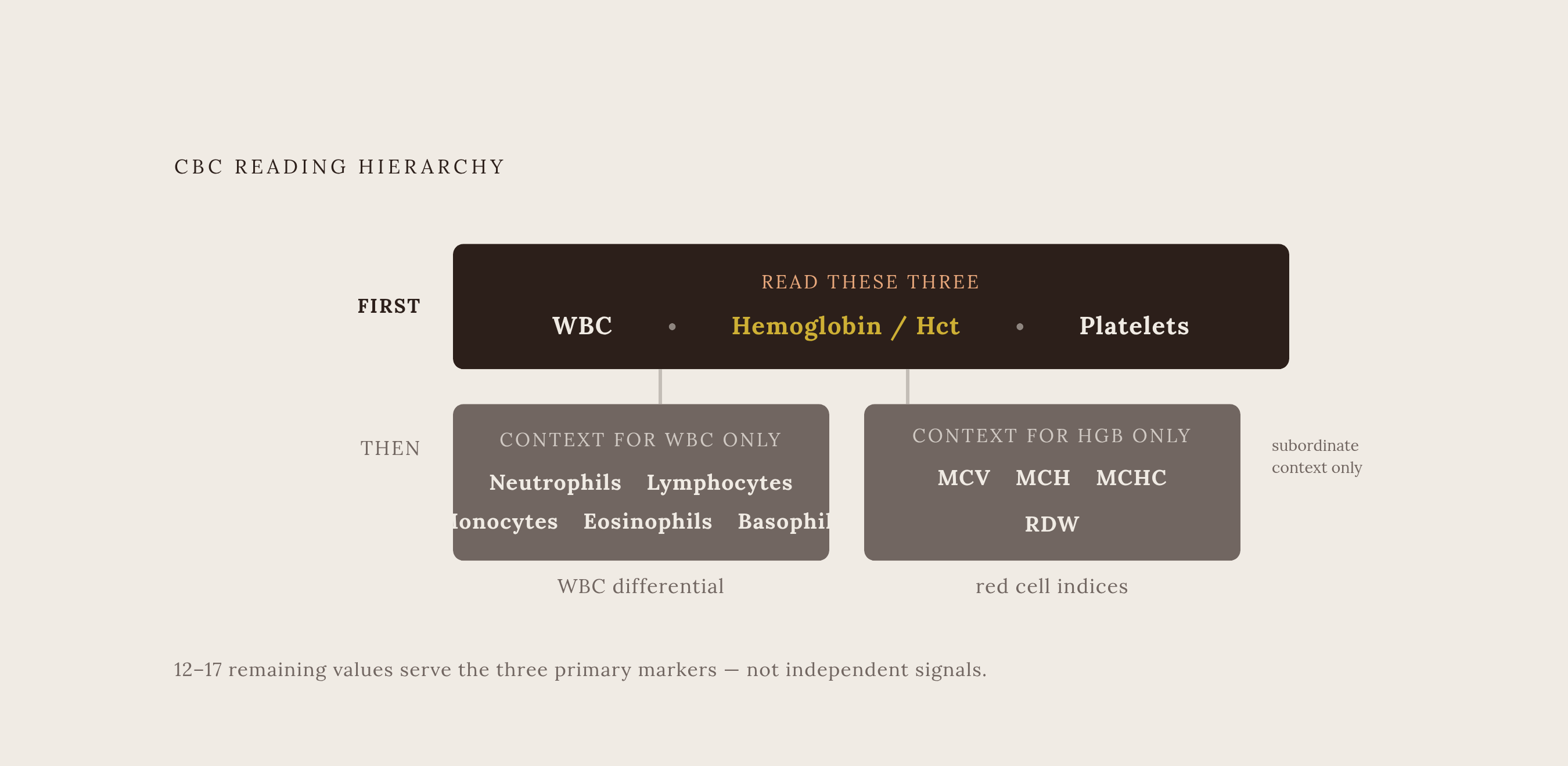 Diagram: The Three Numbers That Matter Most on a CBC. Visualizes: Visualize the hierarchy of attention a reader should apply to a CBC report: three primary markers (white blood cell count, hemoglobin/hematocrit, platelet count) sit at the top as…