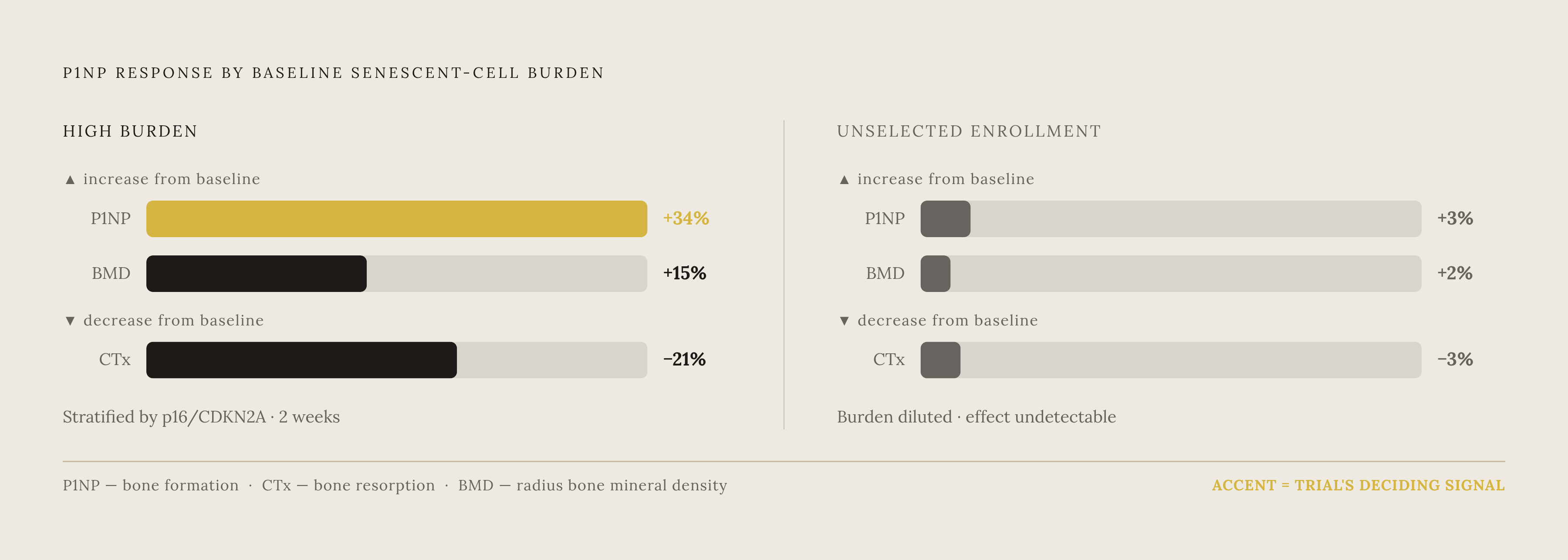 Diagram: Senescent Cell Burden Drives Skeletal Response: The High-Burden Subgroup Effect. Visualizes: Show a contrast between two patient groups in the postmenopausal bone trial stratified by baseline senescent-cell burden (measured via T-cell…