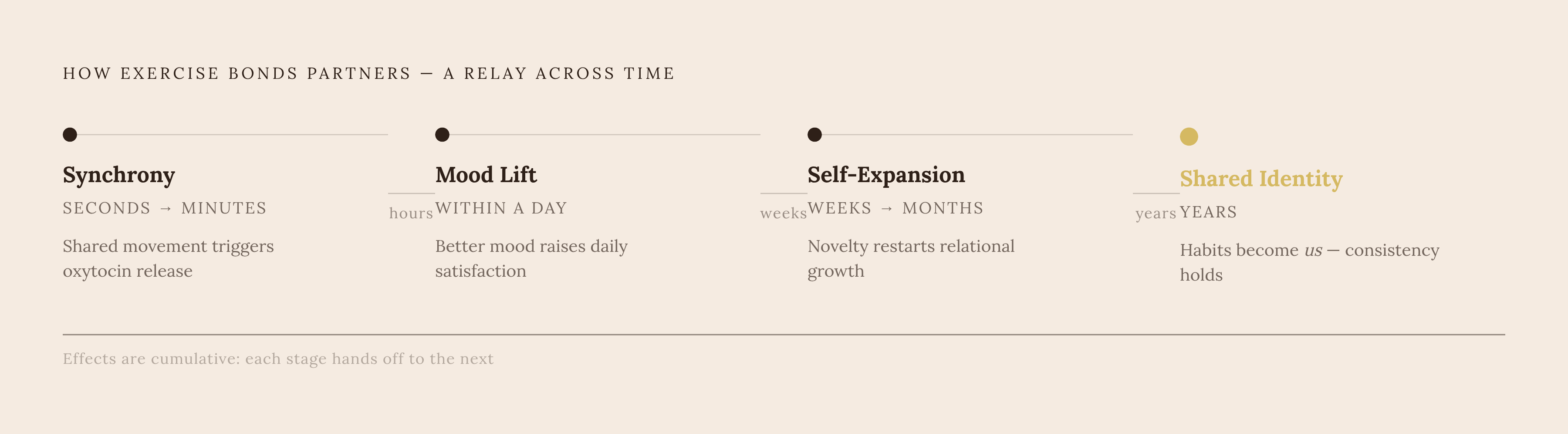 Diagram: Four Mechanisms, Four Timescales. Visualizes: The article describes four distinct mechanisms by which exercising together strengthens a relationship, each operating on a different timescale: Synchrony (fires in the moment — oxytocin…