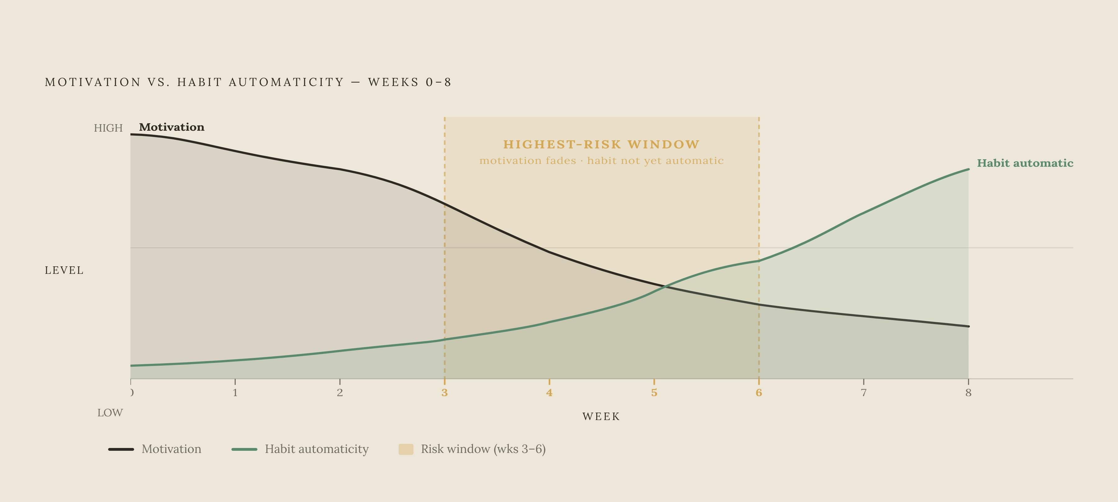 Diagram: The Motivation Gap: Why Weeks 3–6 Are the Danger Zone. Visualizes: Show a timeline of a workout restart from Week 0 to Week 8, plotting motivation level against habit automaticity.