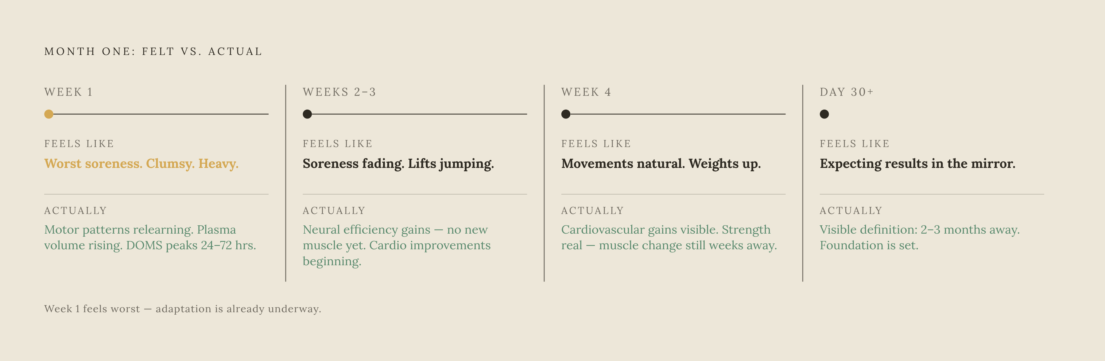 Diagram: What Actually Happens in Your Body: Month One, Week by Week. Visualizes: Visualize the four-stage arc of month one's return to training, showing what is happening biologically at each phase and what the exerciser feels versus what is…