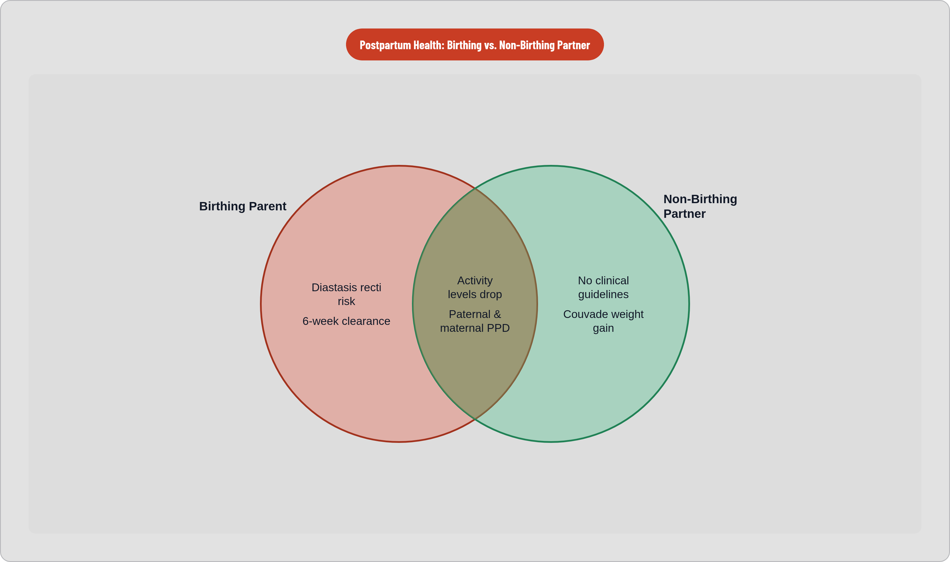 Venn diagram: Postpartum Health: Birthing vs. Non-Birthing Partner. Compares Birthing Parent and Non-Birthing Partner; overlap: Shared Experience.