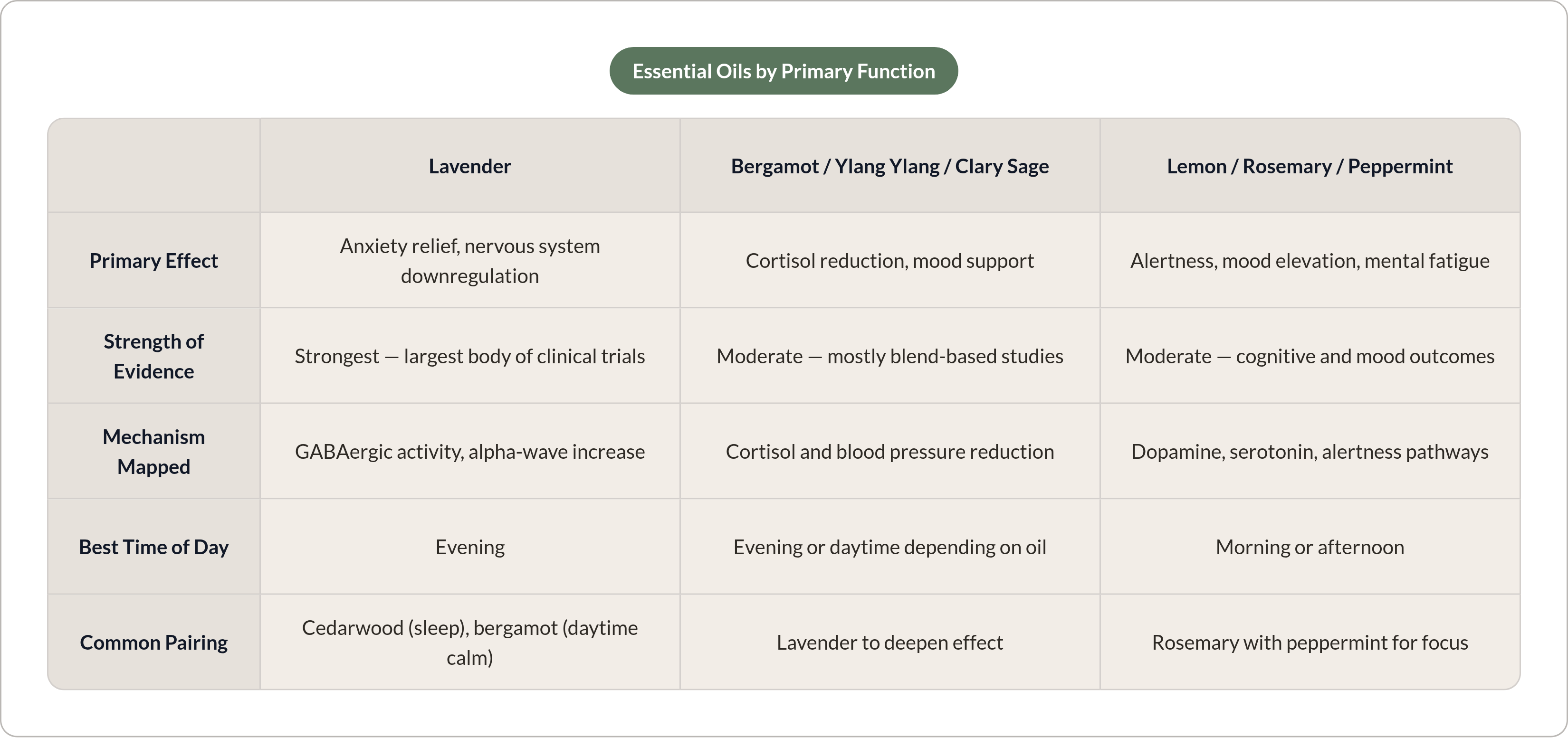 Table: Essential Oils by Primary Function. Compares Primary Effect, Strength of Evidence, Mechanism Mapped, Best Time of Day, and 1 more by Lavender, Bergamot / Ylang Ylang / Clary Sage and Lemon / Rosemary / Peppermint.