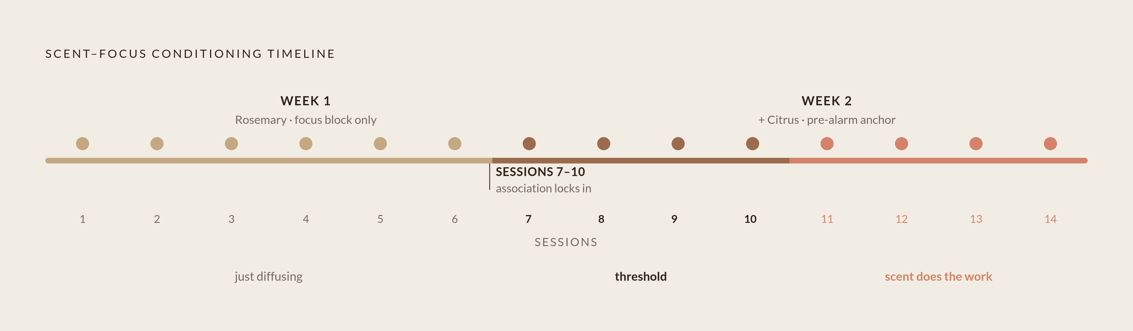 Diagram: How Fast the Scent-Focus Association Forms. Visualizes: Show the conditioning timeline: it takes 7 to 10 sessions (roughly two weeks of daily use) for a scent-focus association to solidify, after which the scent functions as a cognitive…