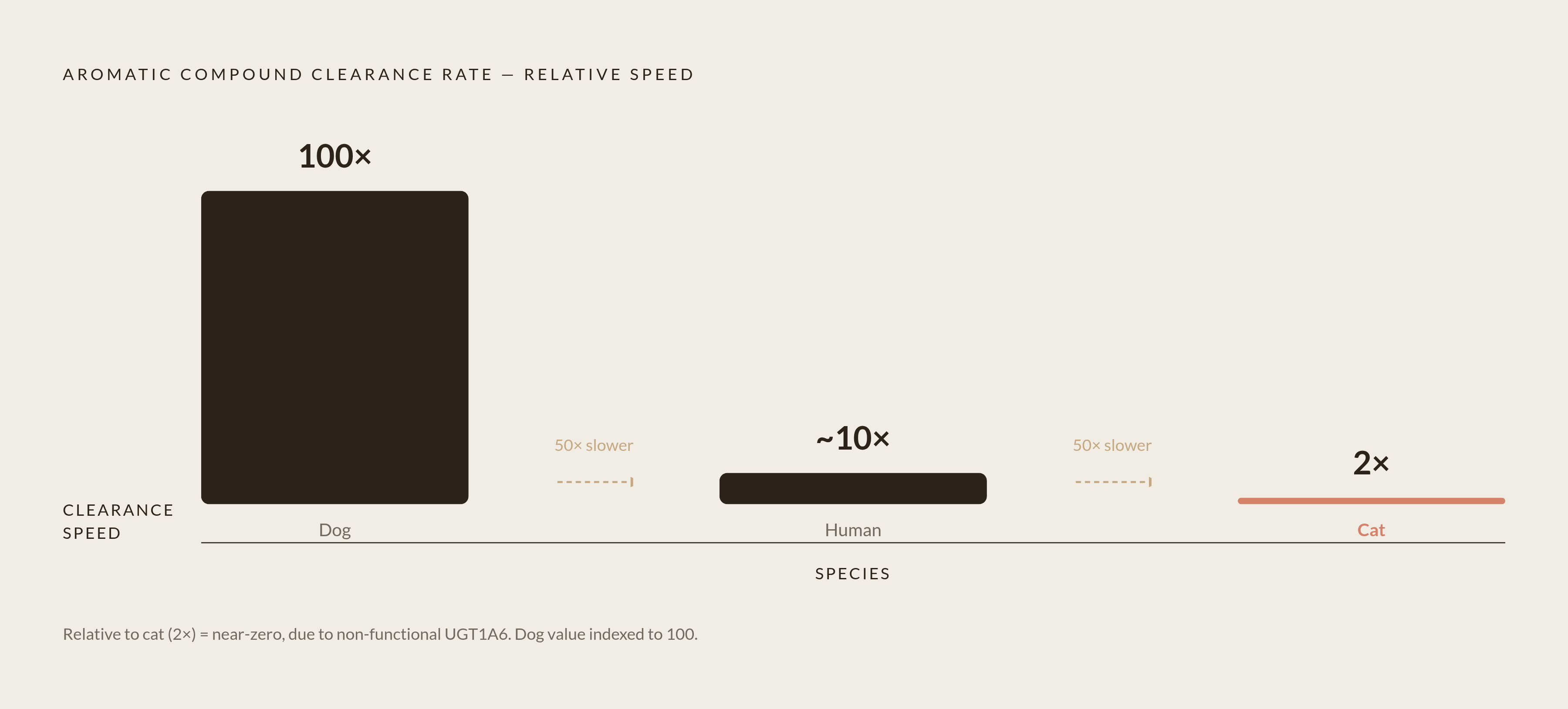 Diagram: Why Cats Bear the Highest Chemical Burden. Visualizes: Visualize the dramatic difference in aromatic compound clearance speed between species: cats clear aromatic compounds roughly 50 times slower than dogs, due to a non-functional UGT1A6…