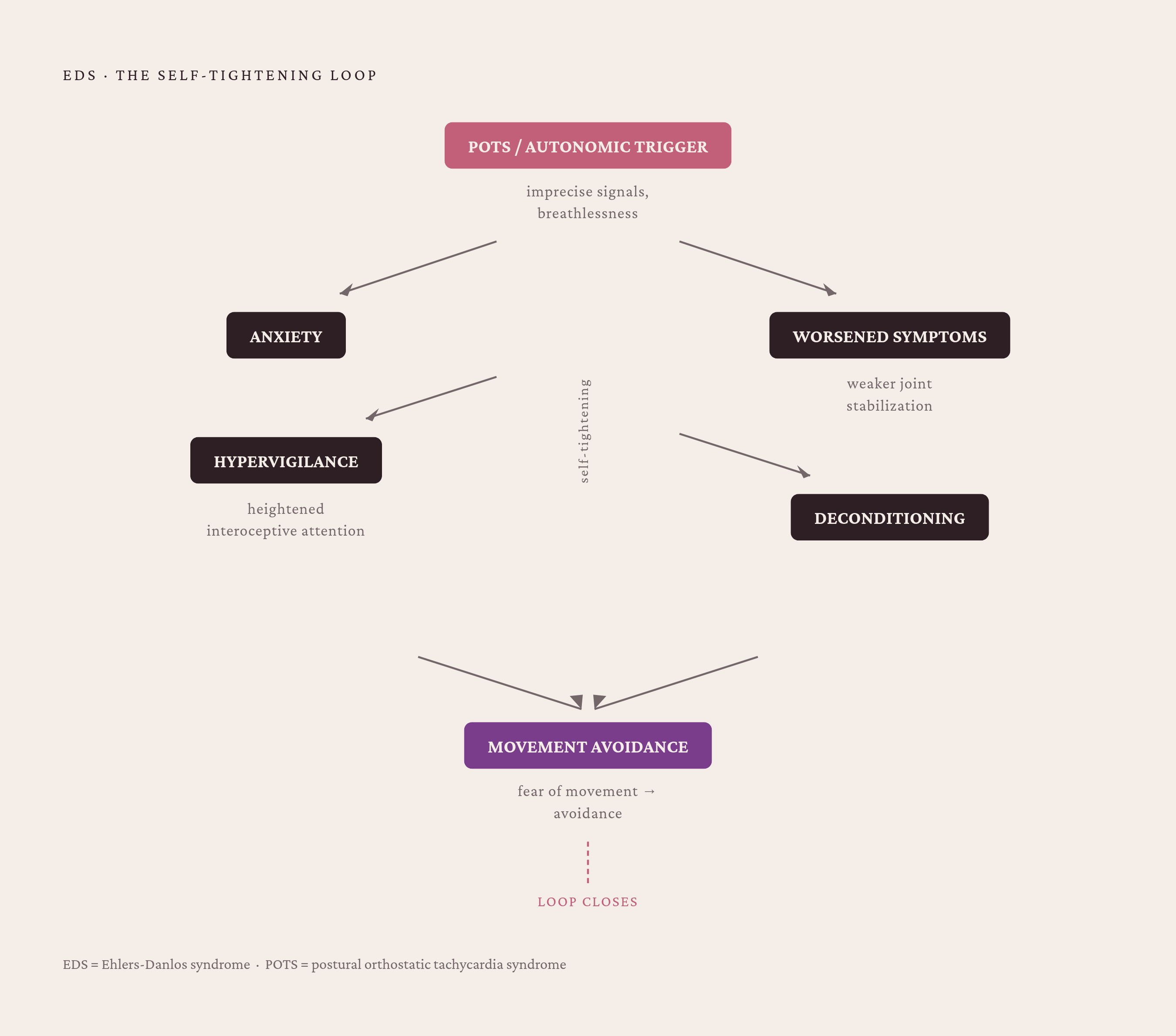 Diagram: The Reinforcing Loop: Biology, Anxiety, and Deconditioning. Visualizes: Show the bidirectional feedback loop connecting EDS biology to anxiety and physical deterioration.