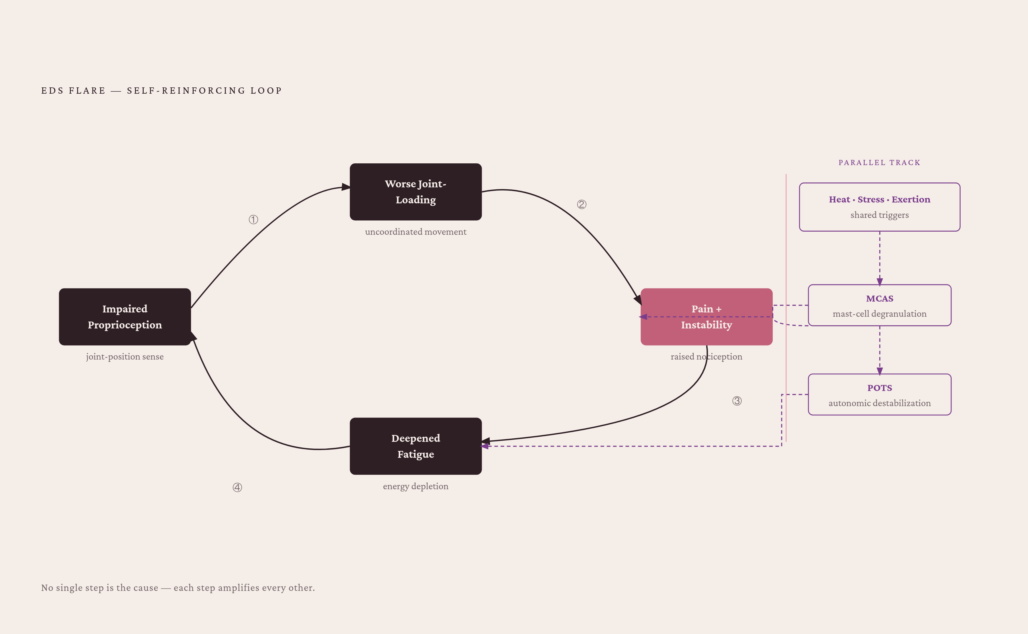 Diagram: How Converging Stressors Cross the Flare Threshold. Visualizes: Visualize the self-reinforcing loop that turns ordinary stressors into an EDS flare.