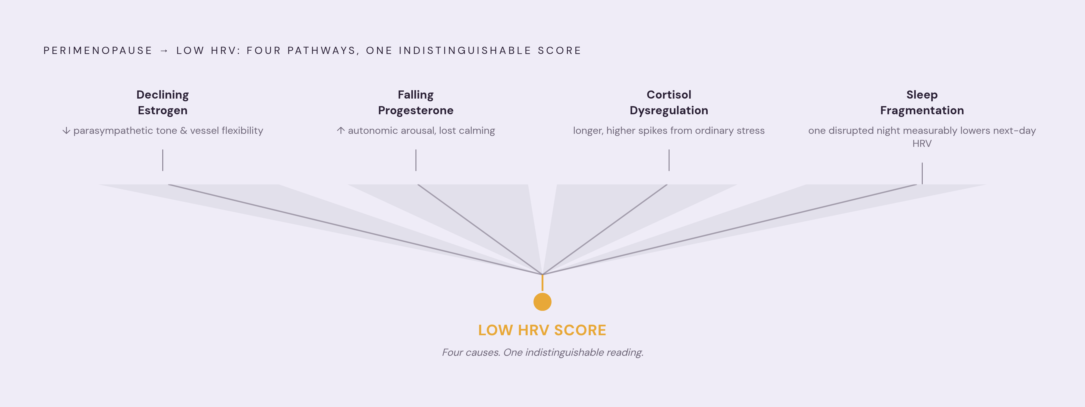 Diagram: Four Pathways That Suppress HRV During Perimenopause. Visualizes: Show four simultaneous biological pathways through which perimenopause suppresses HRV, all converging on the same depressed HRV output.