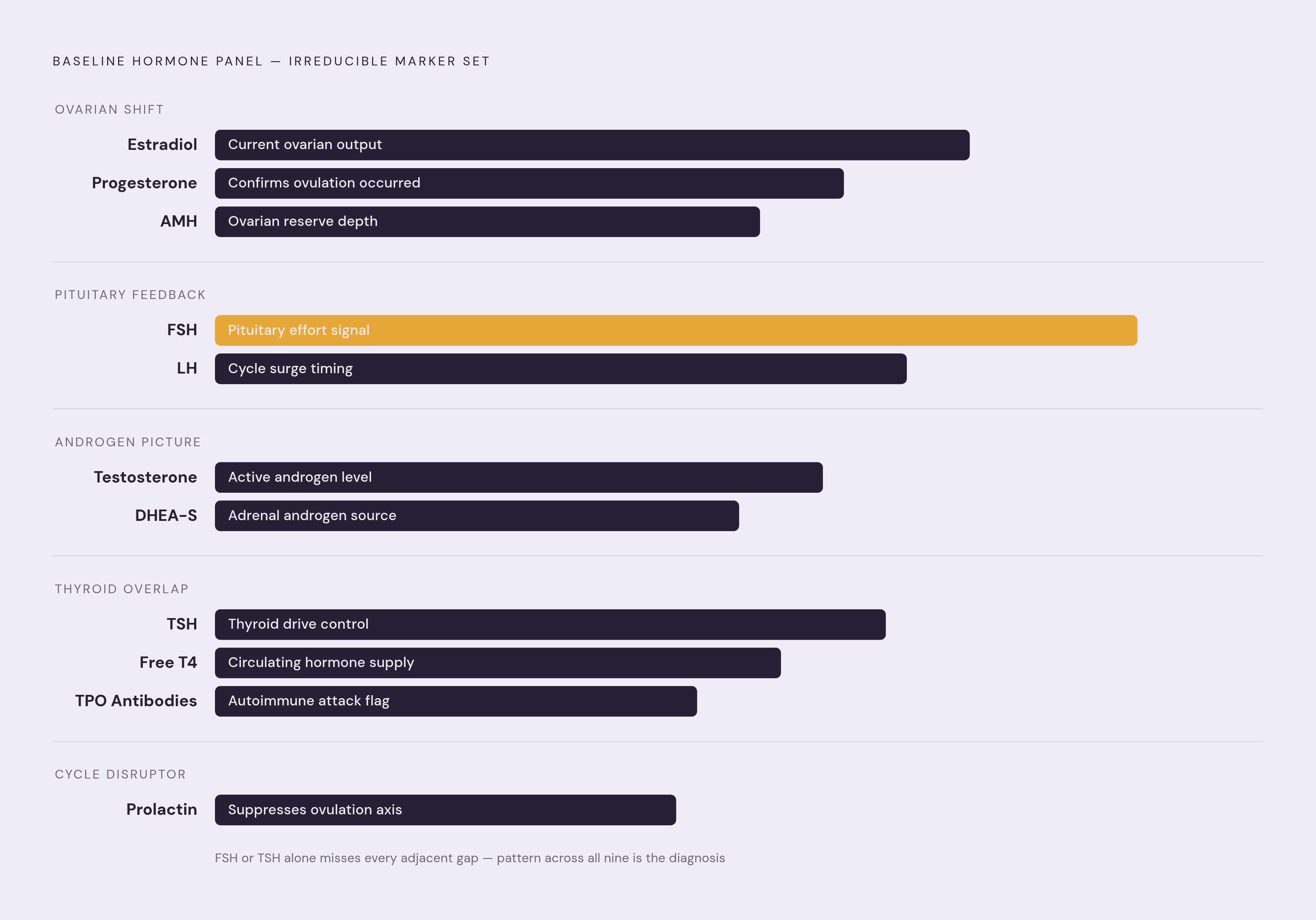 Diagram: Why One Marker Misses the Picture: The Full Panel at a Glance. Visualizes: Show the nine markers in a comprehensive baseline hormone panel — estradiol, progesterone, FSH, LH, testosterone, DHEA-S, AMH, thyroid markers (TSH, Free T4, TPO…