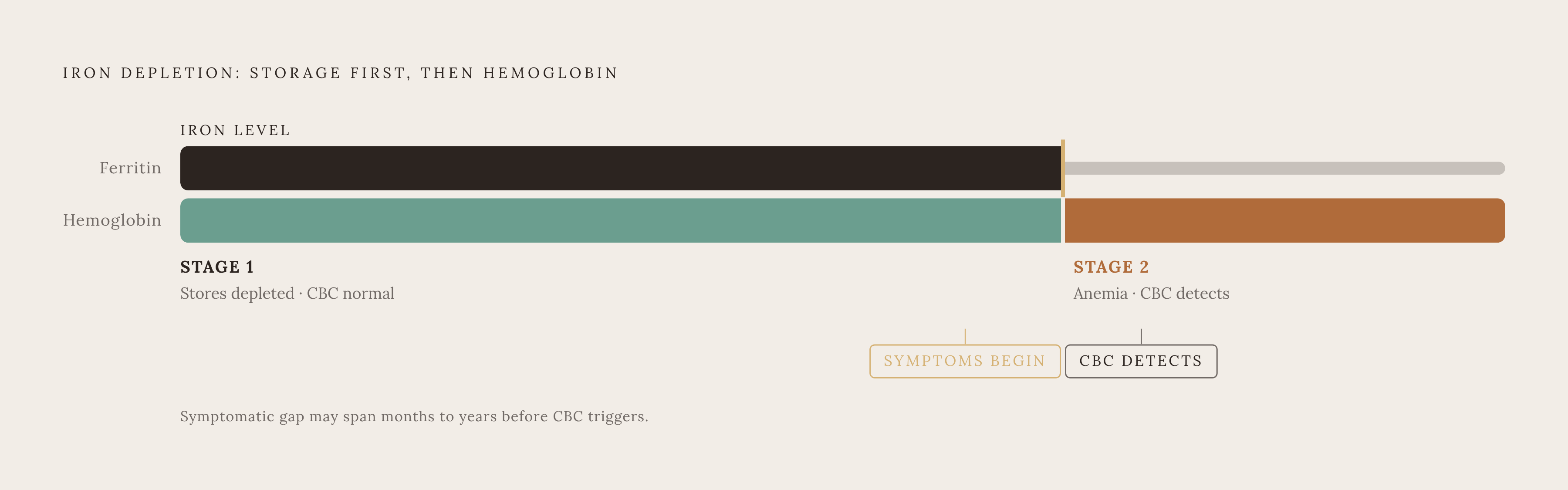 Diagram: Why a Normal CBC Misses Iron Deficiency Without Anemia. Visualizes: Show the body's iron prioritization logic as a two-stage depletion sequence.