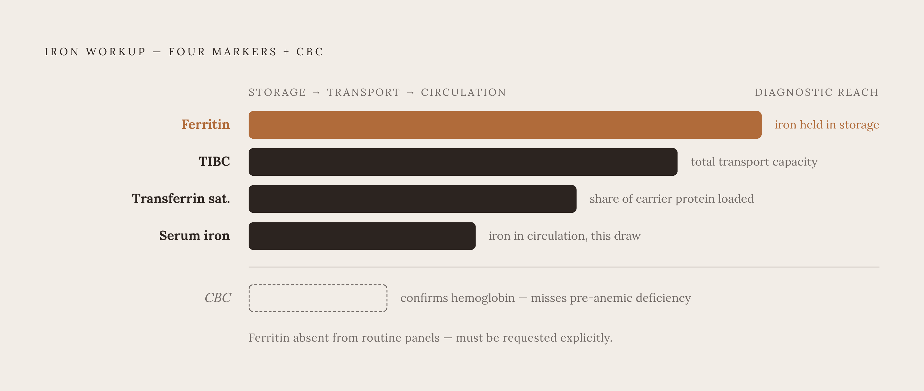 Diagram: The Four-Part Iron Panel — and What Each Marker Actually Reveals. Visualizes: Depict the four components of a complete iron workup as a ranked or layered diagram showing what each marker measures: Ferritin (iron held in storage), Serum…
