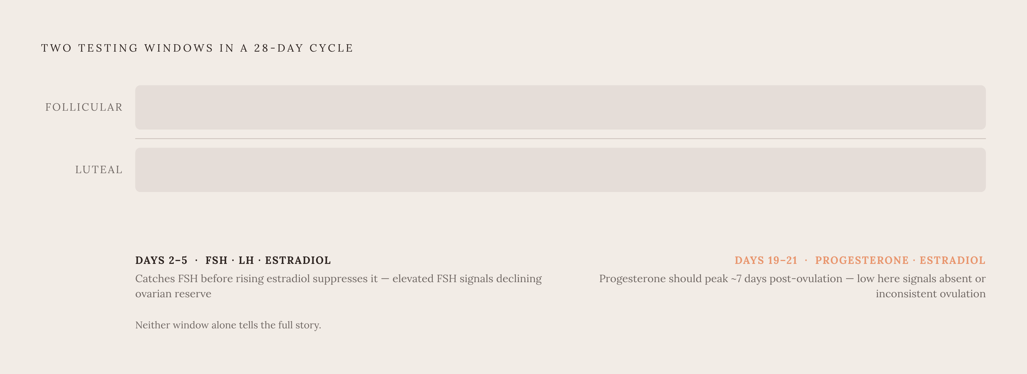 Diagram: Two Windows, Two Different Questions. Visualizes: Show two distinct testing windows in a regular menstrual cycle and what each one measures and reveals.