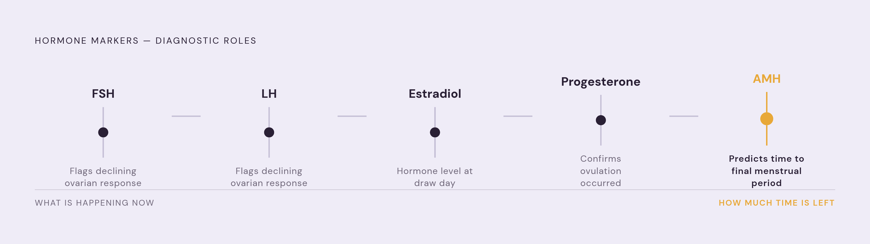 Diagram: Five Reproductive Markers, Five Distinct Jobs. Visualizes: Show how five hormone markers divide the diagnostic labour that no single marker can do alone: FSH and LH flag declining ovarian response; estradiol shows actual hormone level on a…