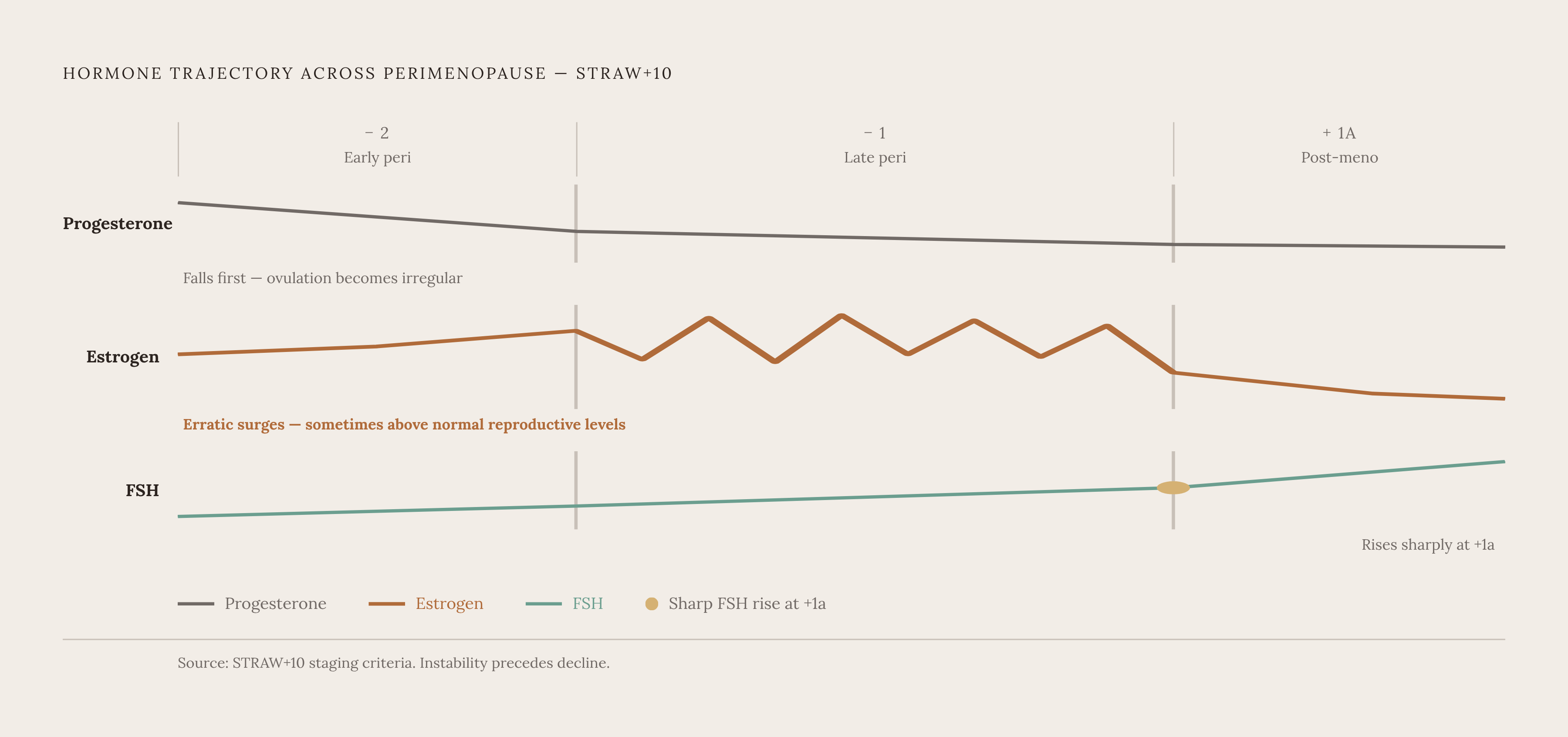 Diagram: How Hormones Actually Move Through Perimenopause. Visualizes: Illustrate the staged, non-linear hormone trajectory across the STRAW+10 perimenopause phases.