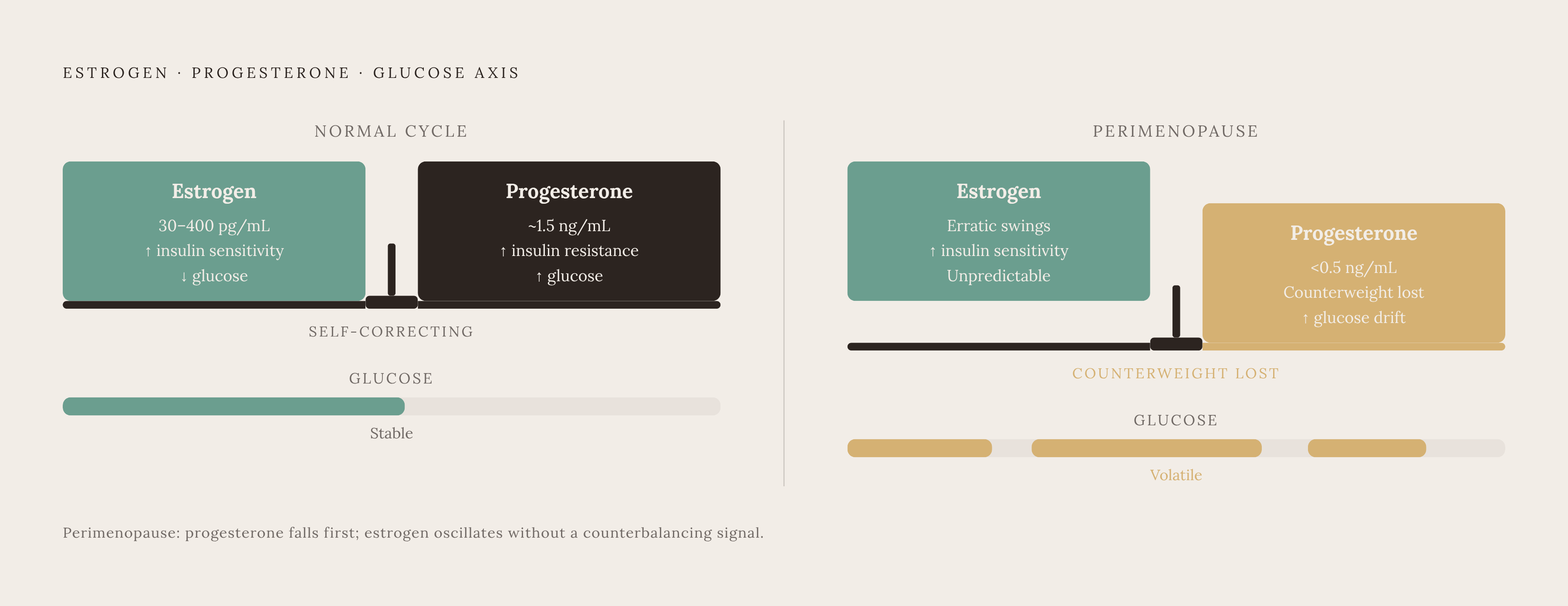 Diagram: How Estrogen and Progesterone Push Blood Sugar in Opposite Directions. Visualizes: Visualize the opposing effects of estrogen and progesterone on insulin sensitivity and blood glucose, showing how their coordinated oscillation across a…